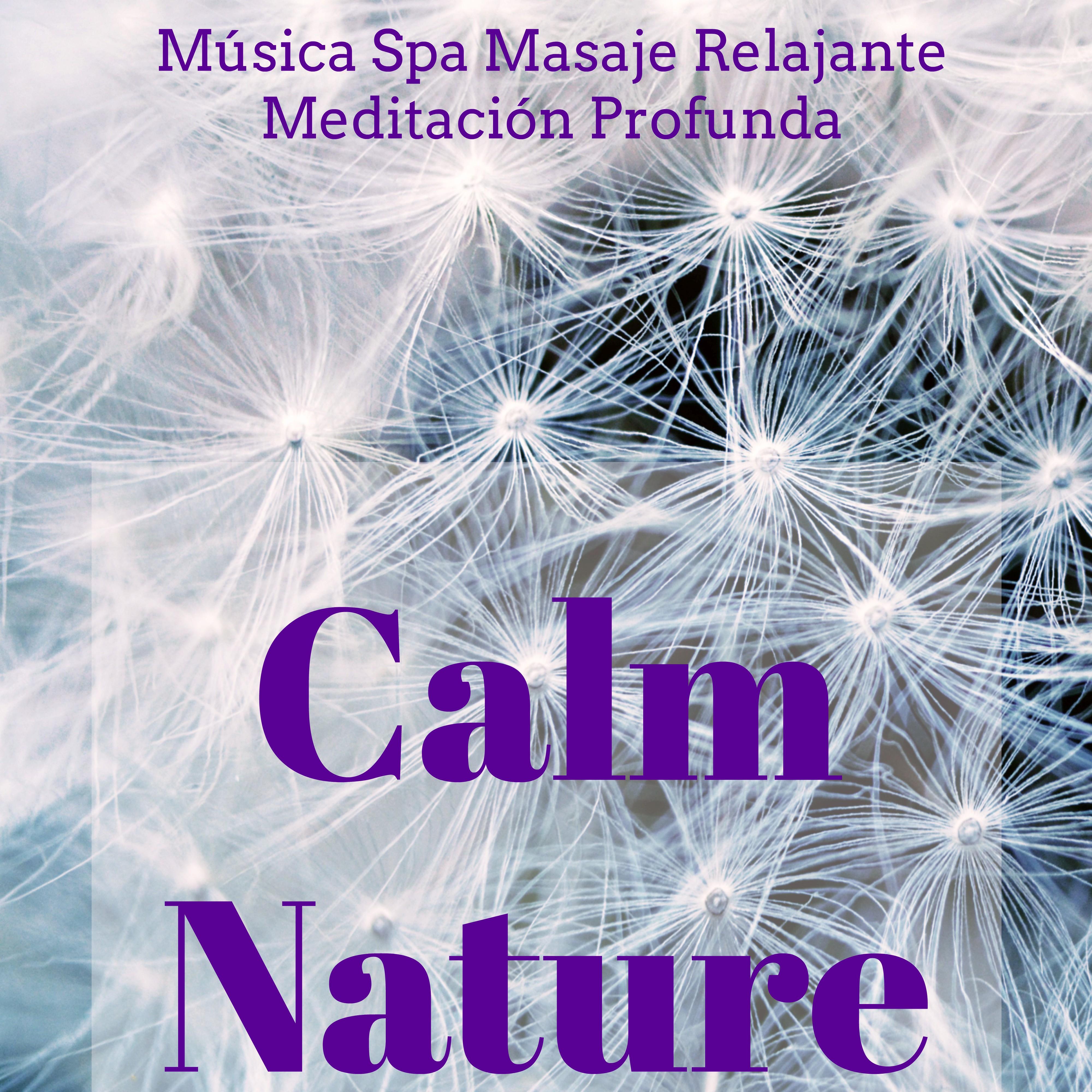 Calm Nature  Mu sica Spa Masaje Relajante Meditacio n Profunda con Sonidos Naturales New Age Instrumentales