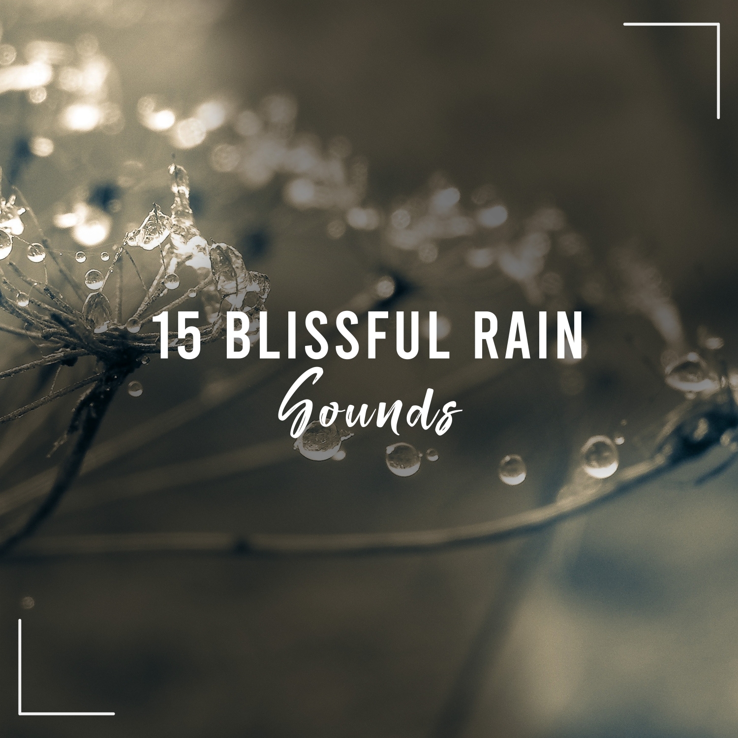 15 Blissful Rain Sounds - Ideal for Babies to Sleep All Night