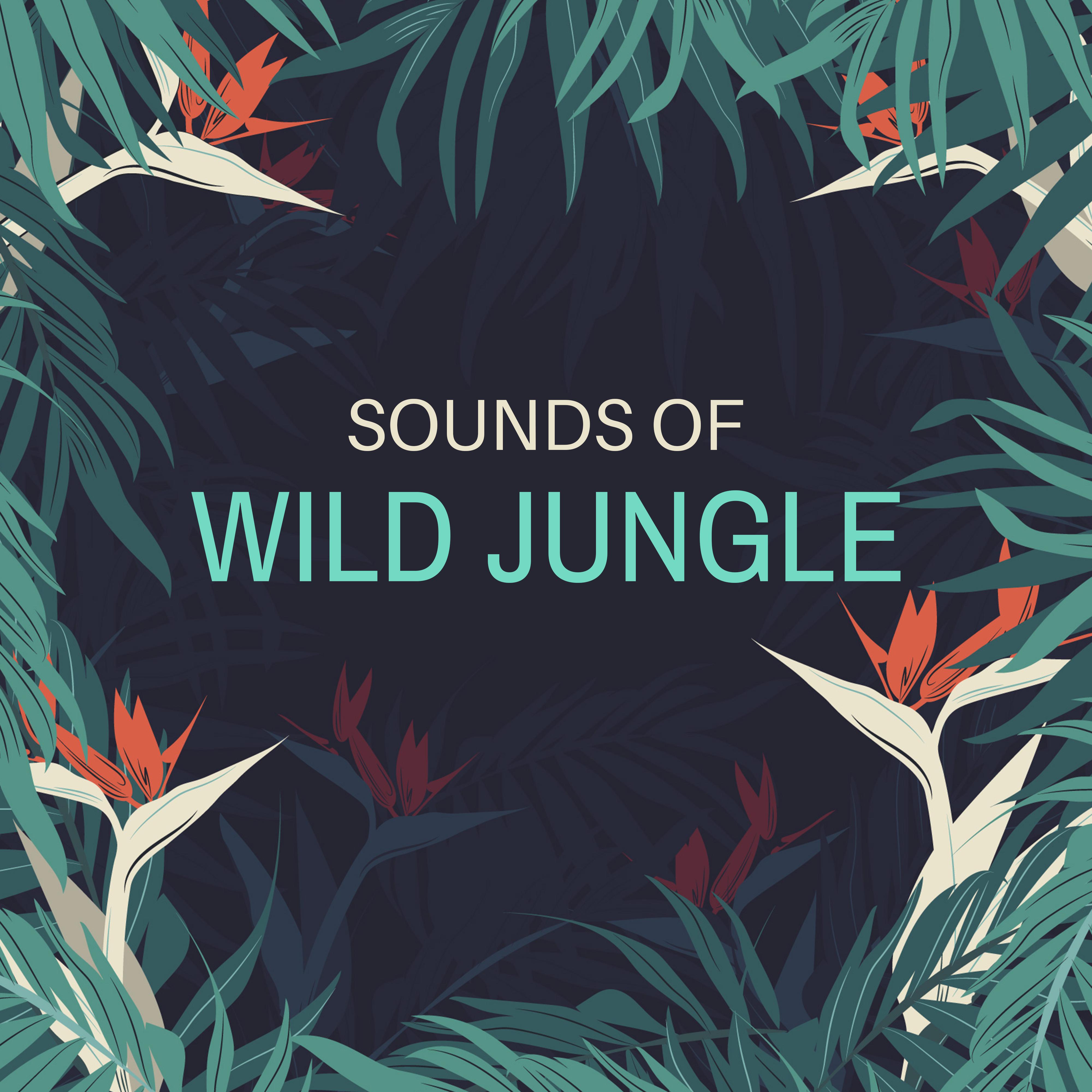 Sounds of Wild Jungle