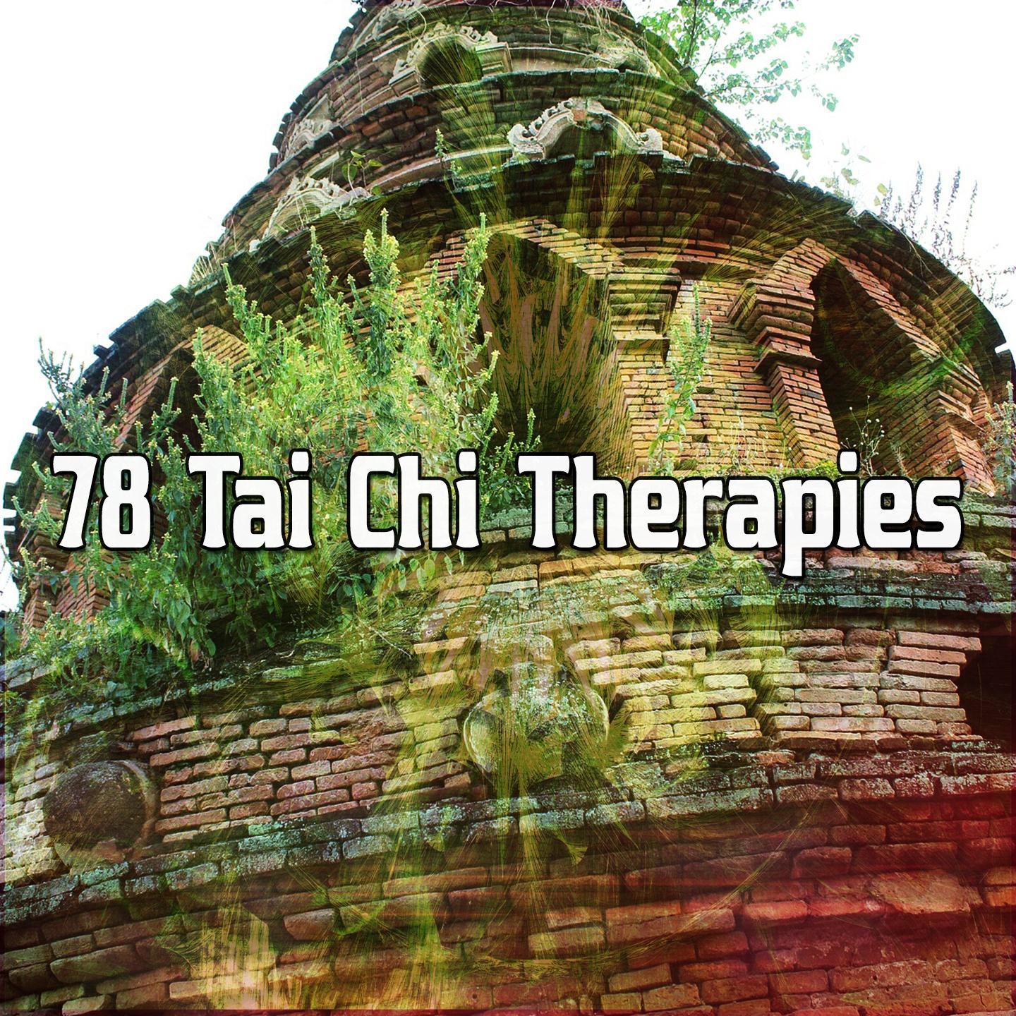 78 Tai Chi Therapies