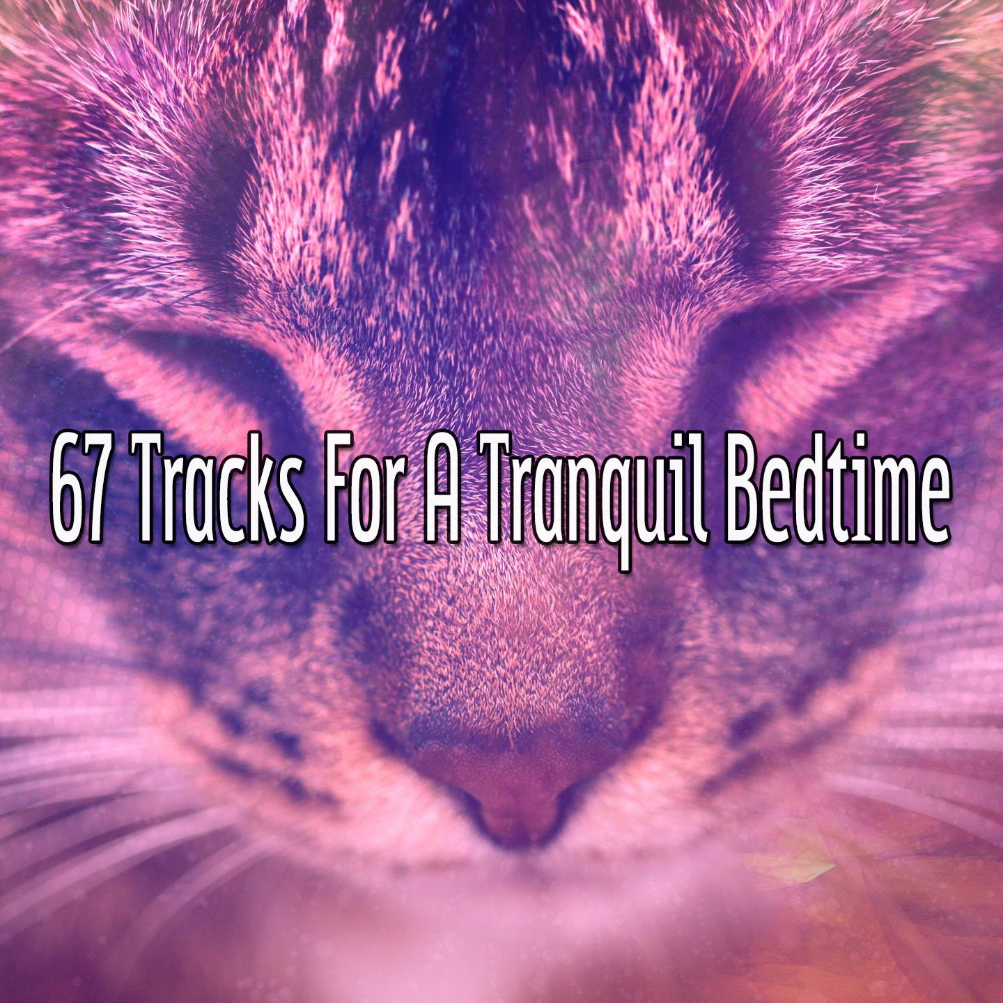 67 Tracks For A Tranquil Bedtime