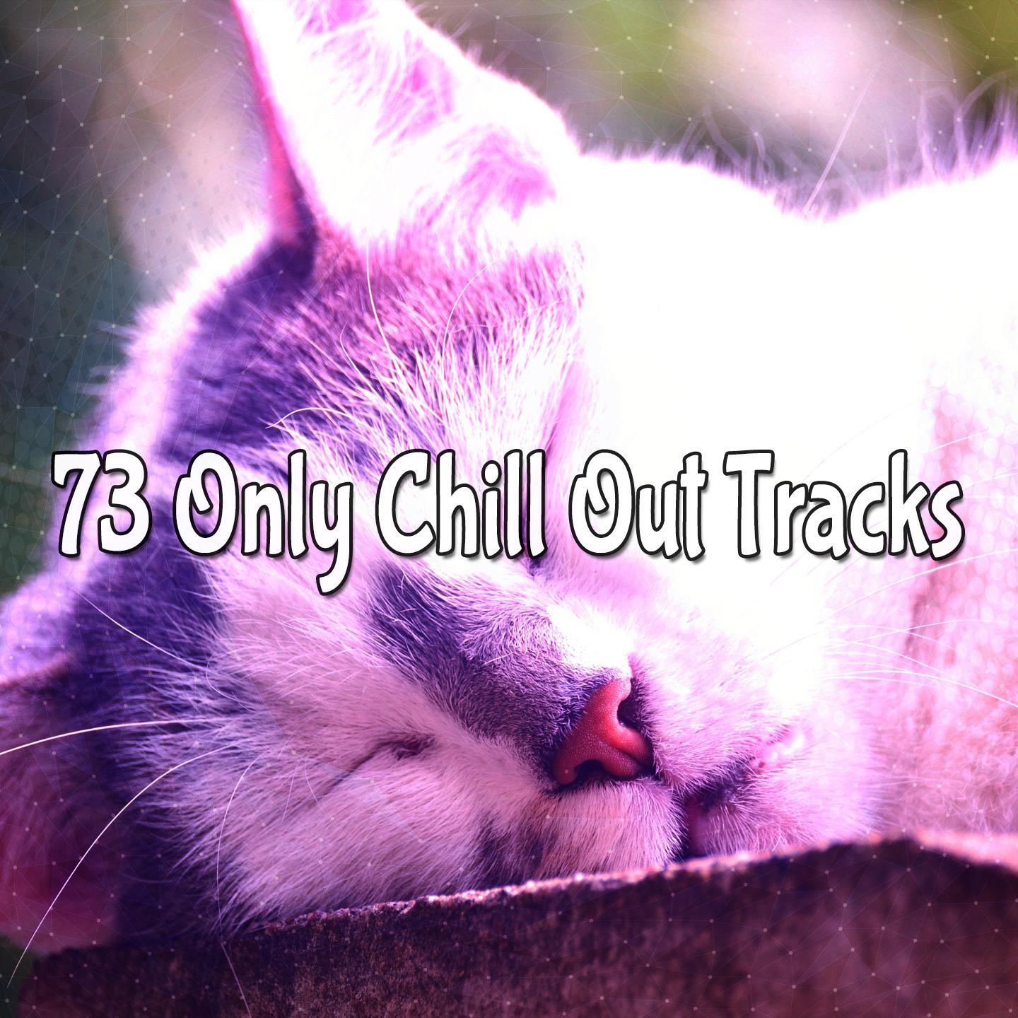 73 Only Chill Out Tracks