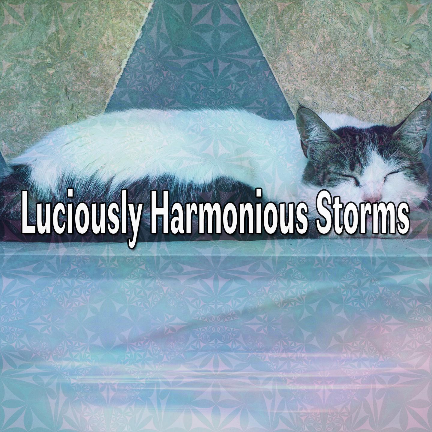 Luciously Harmonious Storms