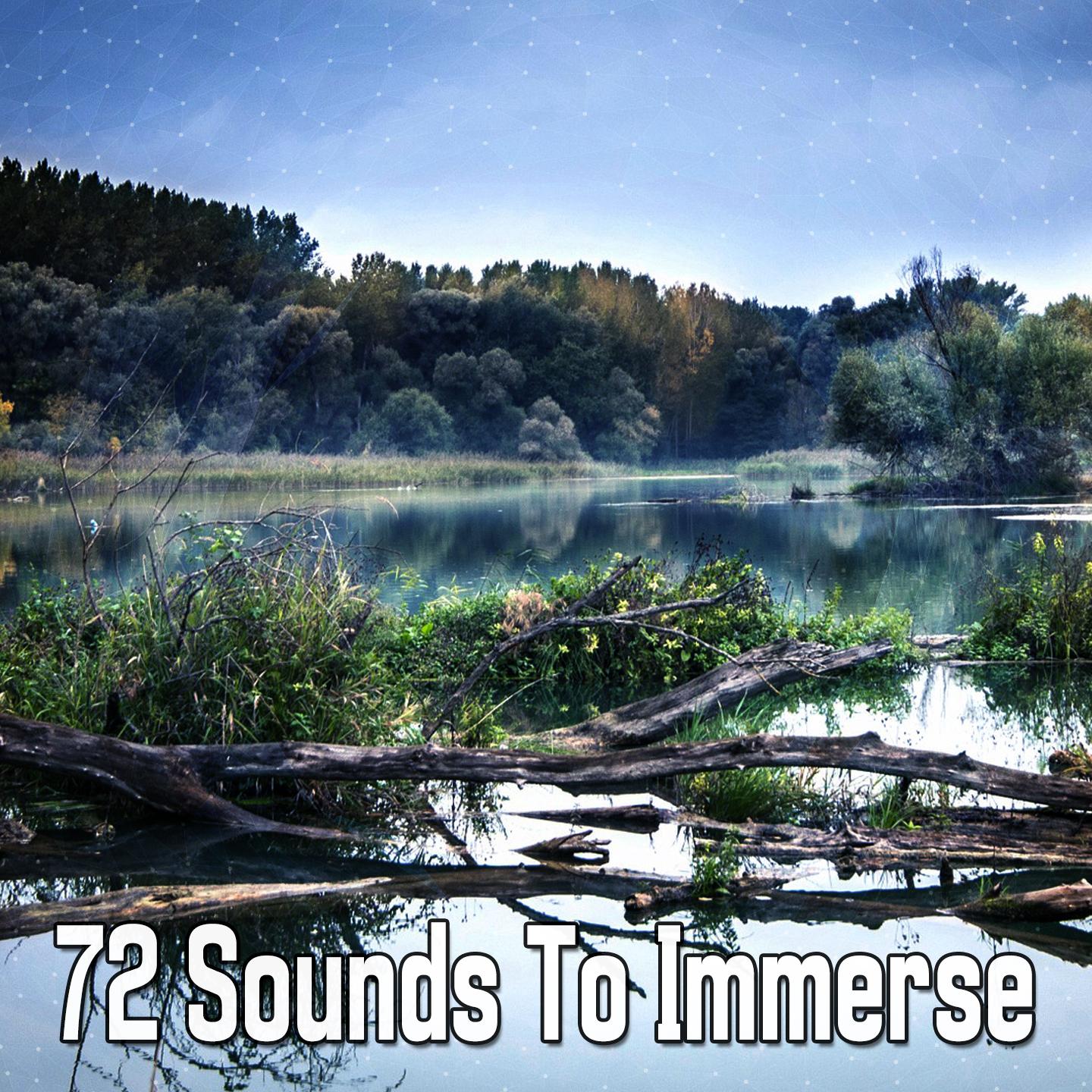 72 Sounds To Immerse