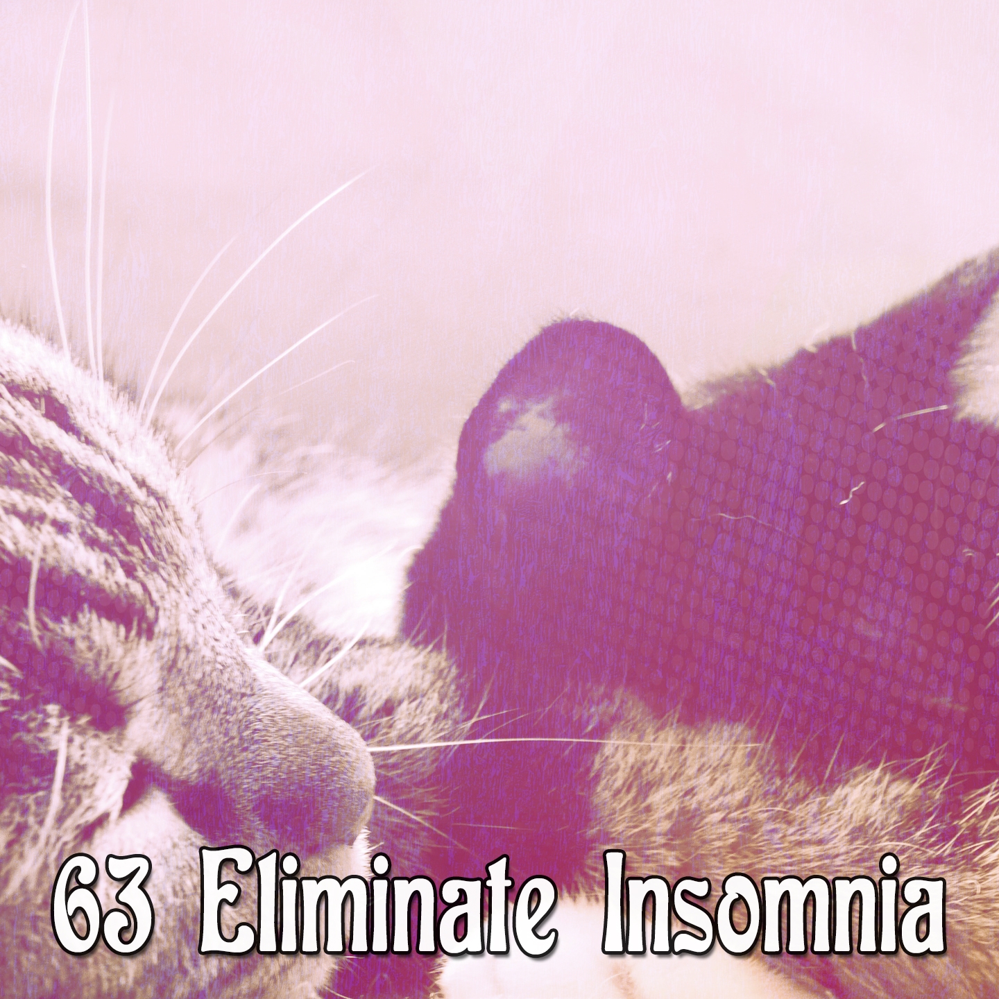 63 Eliminate Insomnia