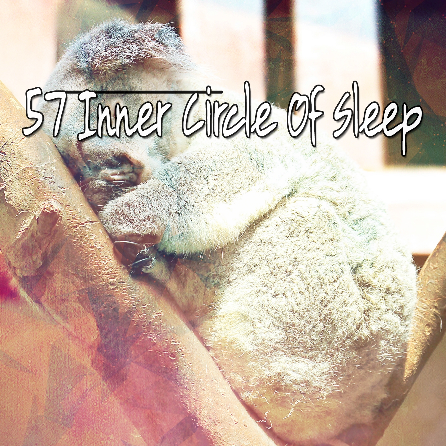 57 Inner Circle Of Sleep