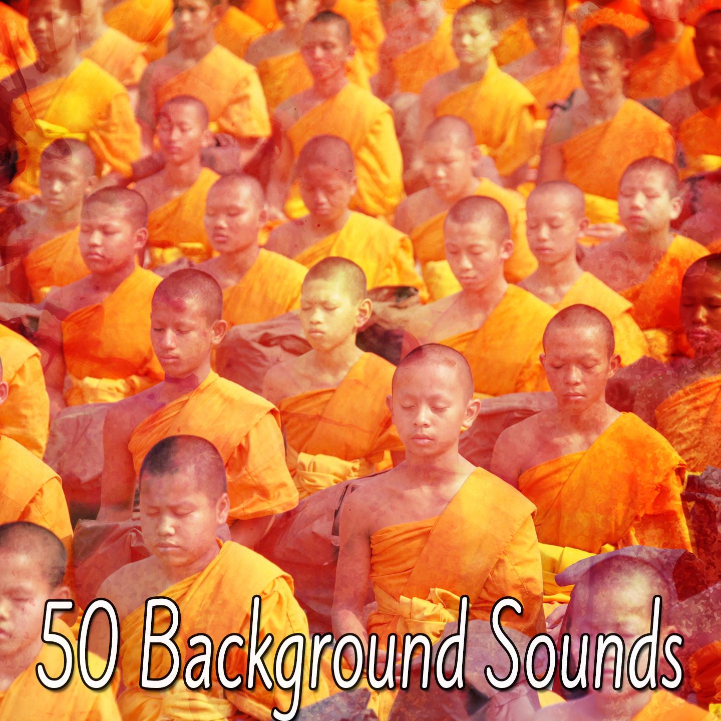 50 Background Sounds