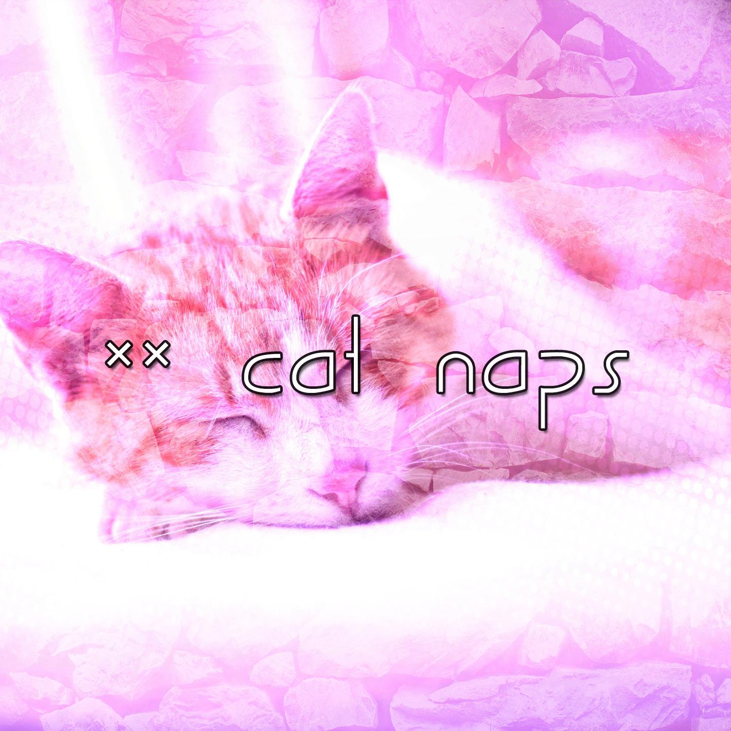63 Cat Naps