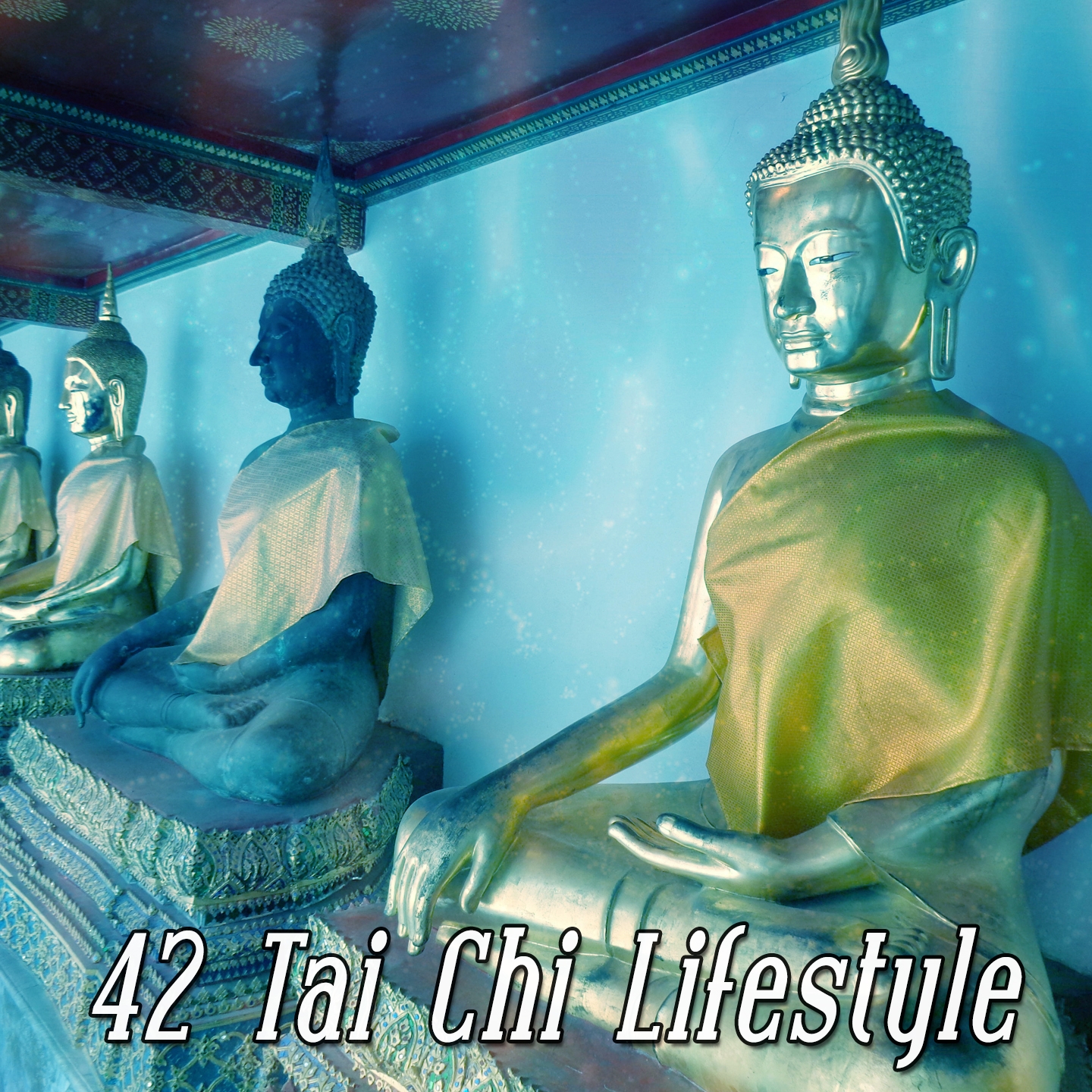 42 Tai Chi Lifestyle