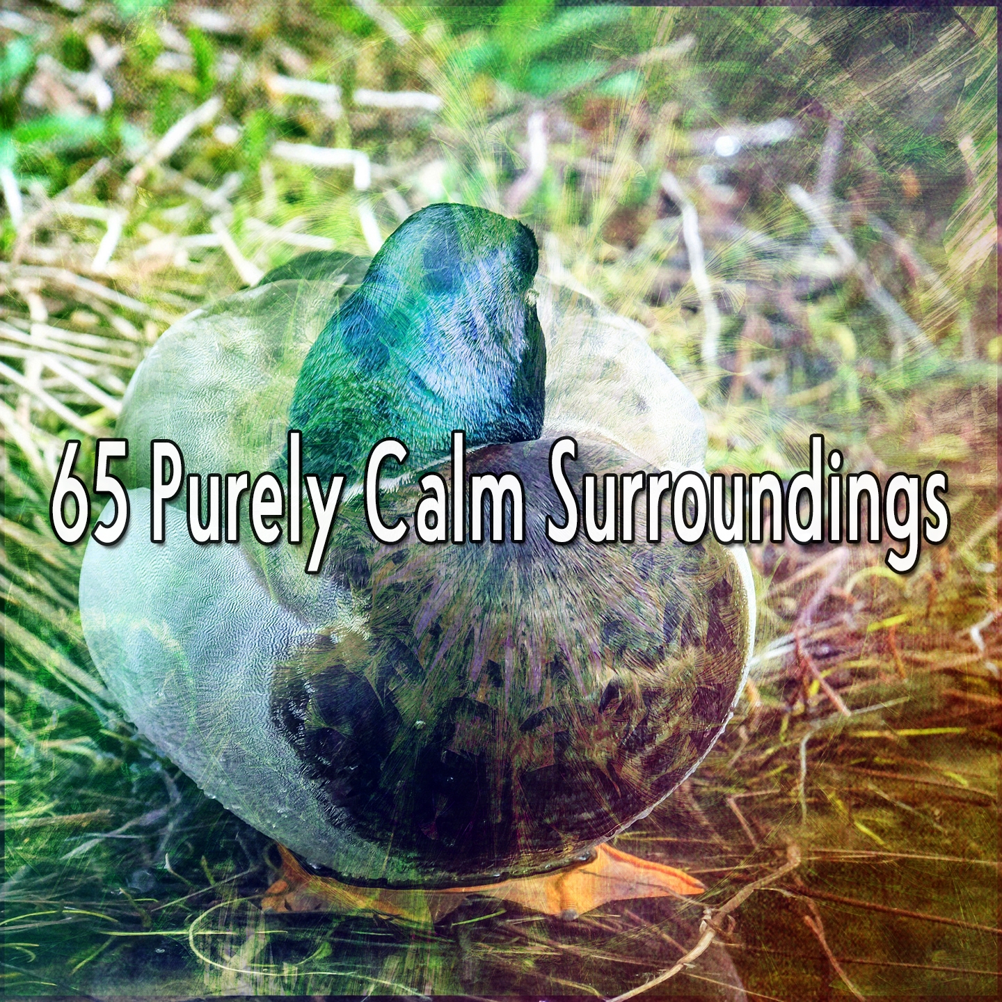 65 Purely Calm Surroundings