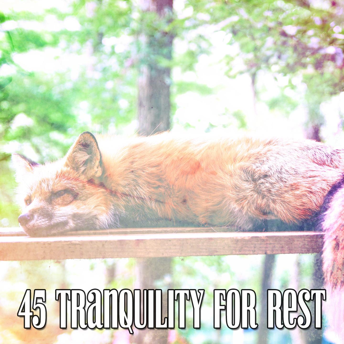 45 Tranquility For Rest