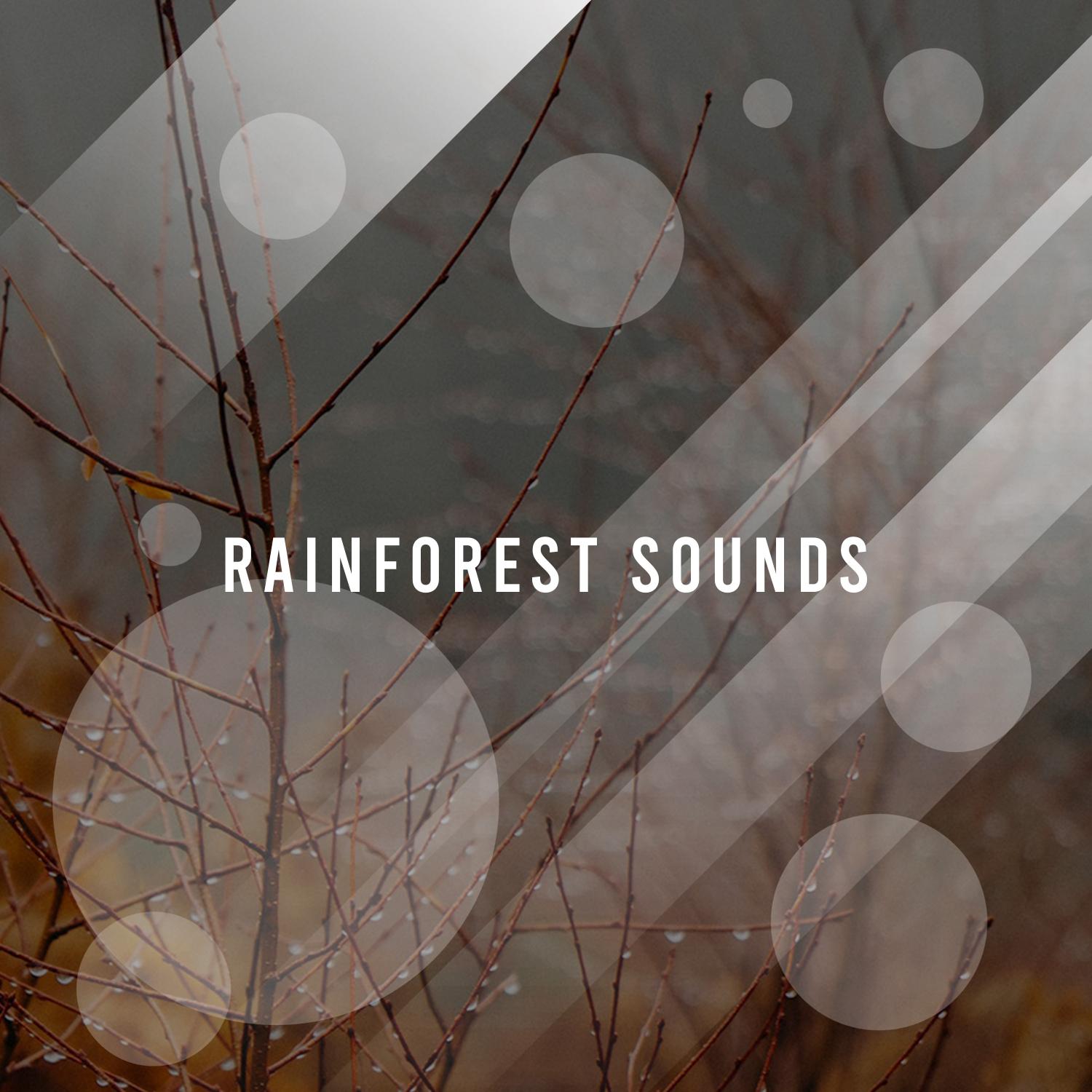 18 Sounds of Rainfor Stress Relief, Insomnia, Sleep and Wellbeing