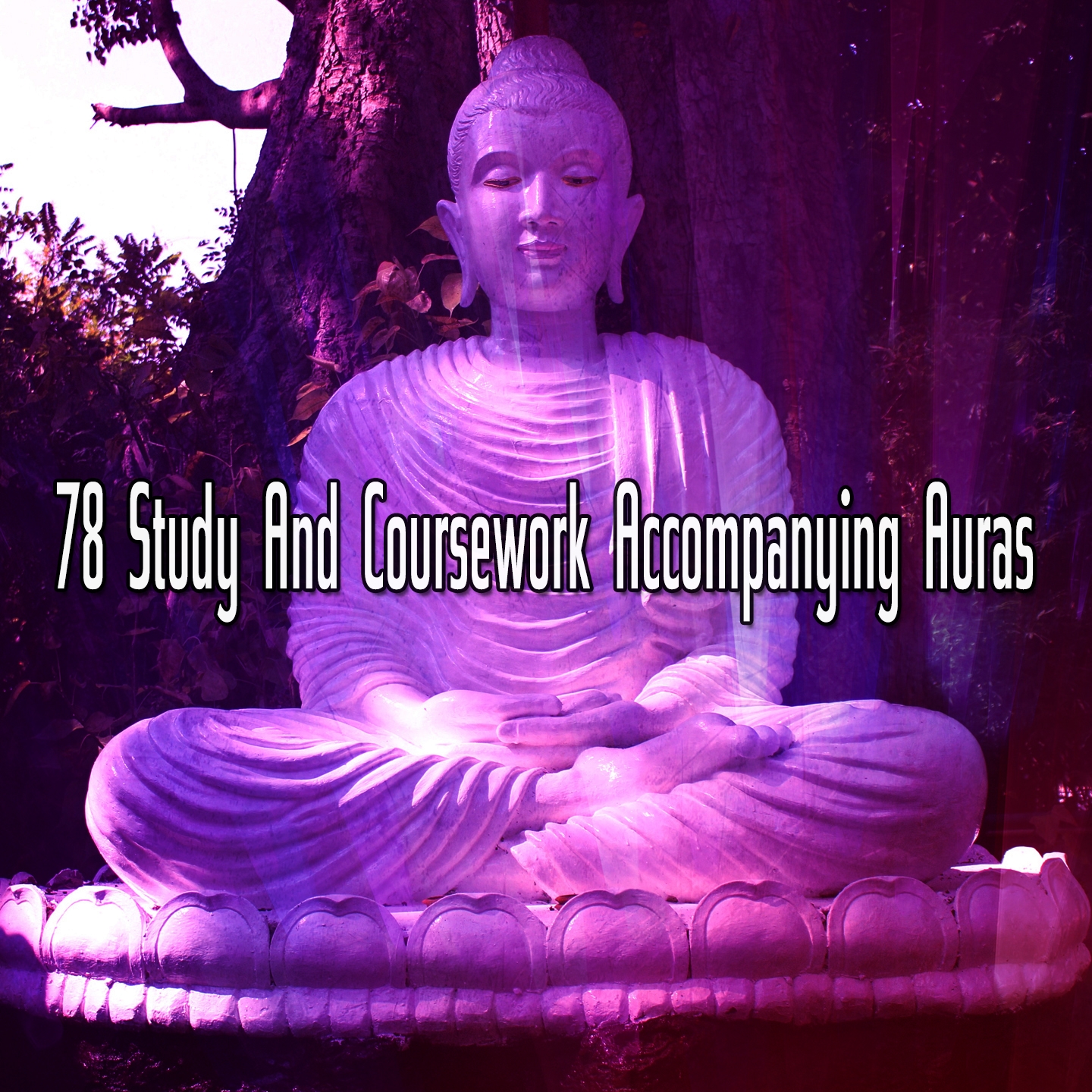 78 Study And Coursework Accompanying Auras