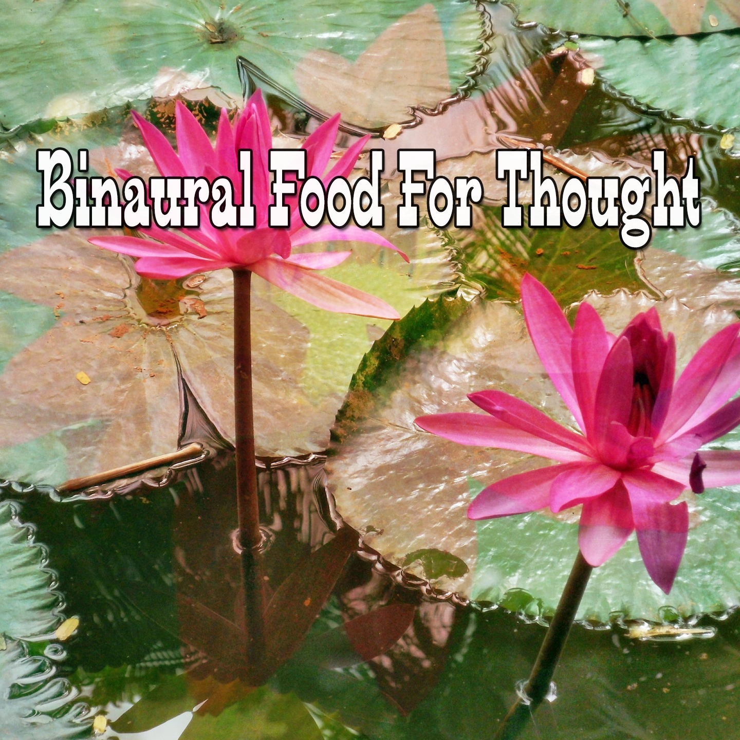 Binaural Food For Thought