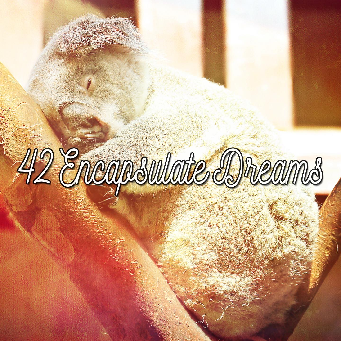 42 Encapsulate Dreams