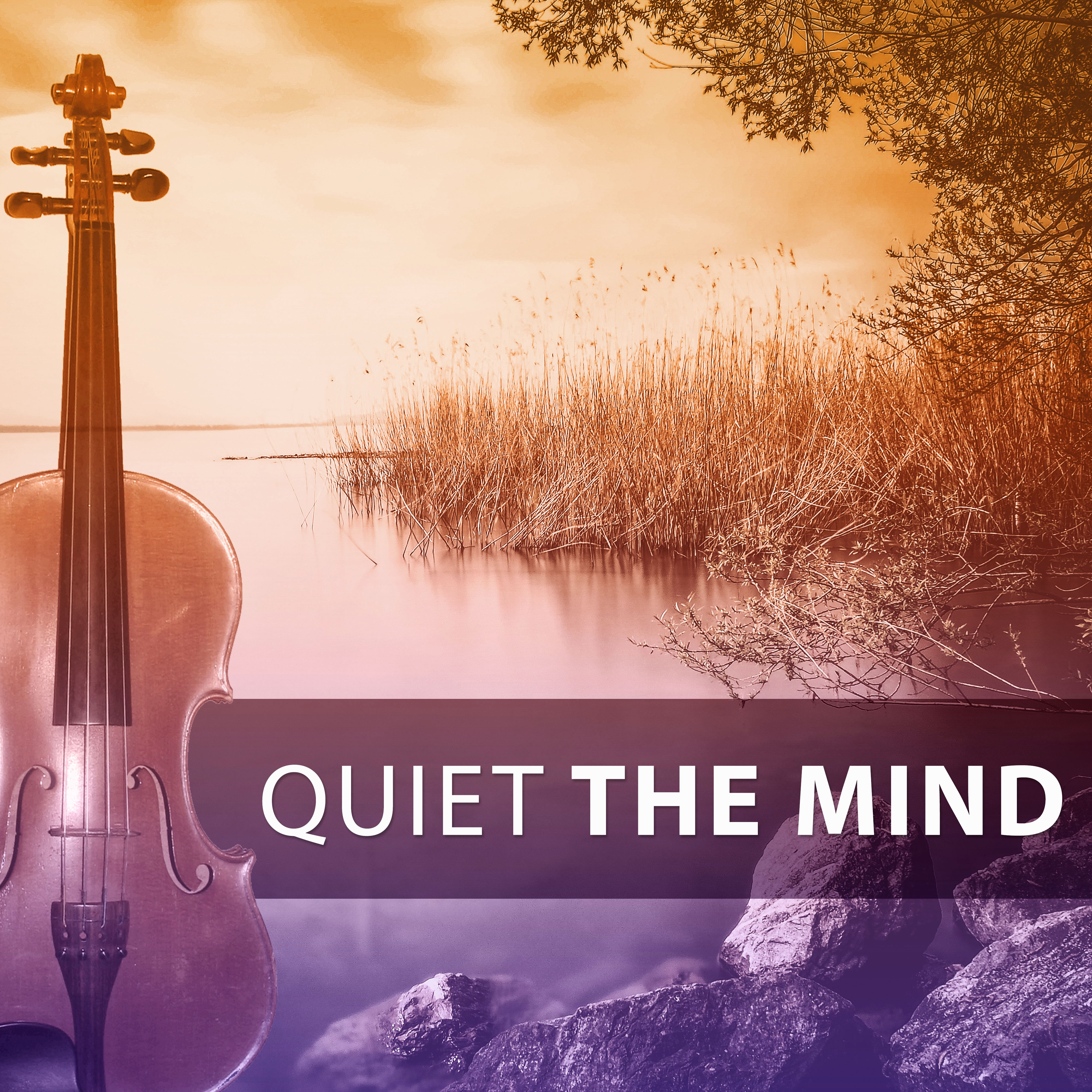 Quiet the Mind  Classical Sounds for Relaxation, Time to Rest, Mozart, Bach Beethoven After Work