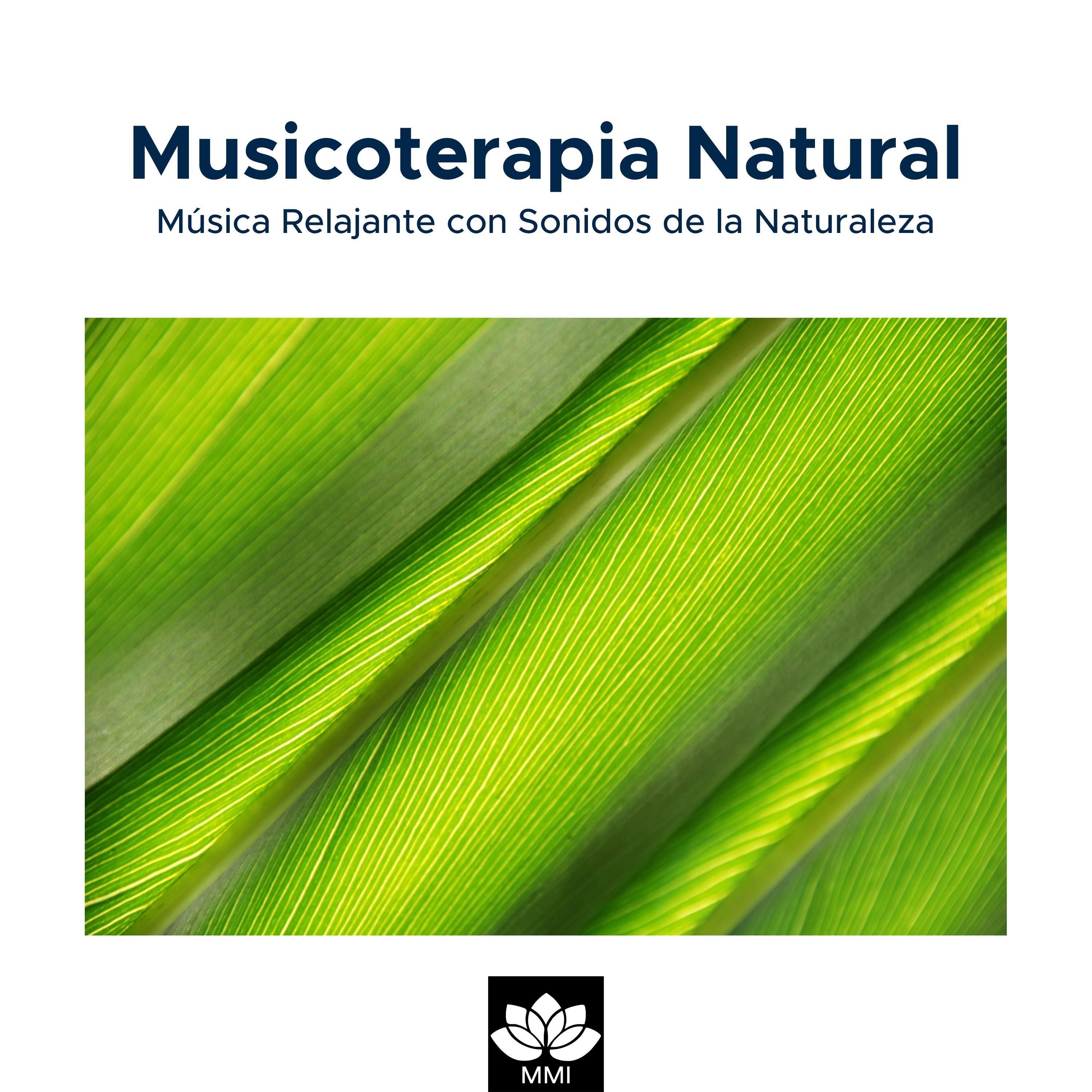 Musicoterapia Natural: Mu sica Relajante con Sonidos de la Naturaleza Lluvia, Olas del Mar, Canto de los Pa jaros, Ranas y Grillos