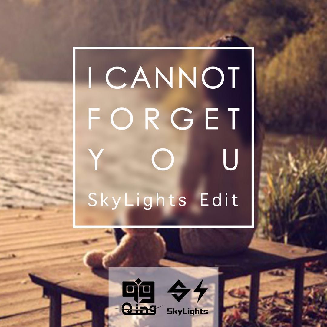 I  Cannot  Forget  You