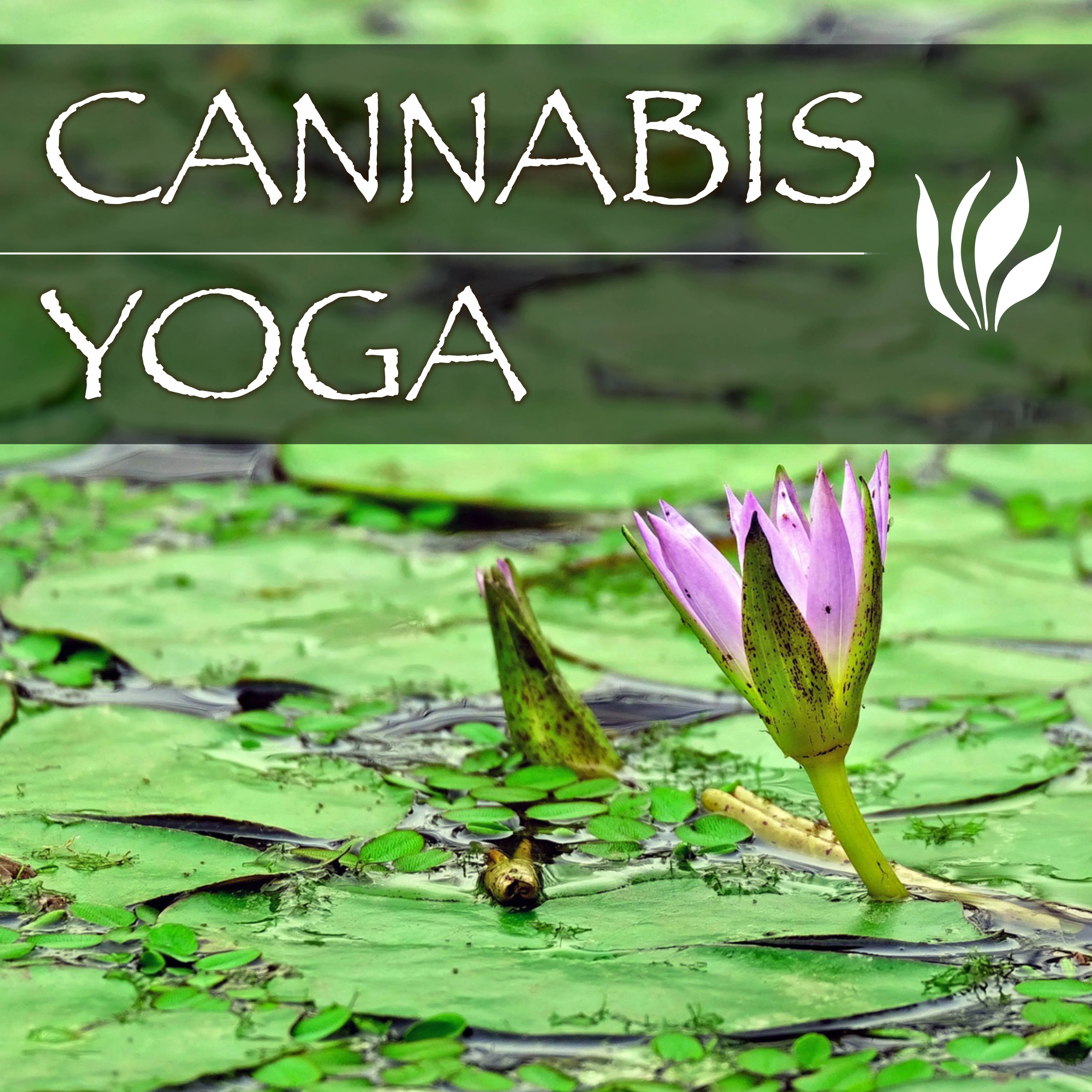 Cannabis Yoga - Hippie Songs for Yoga Classes, Best Trance Music for Meditation
