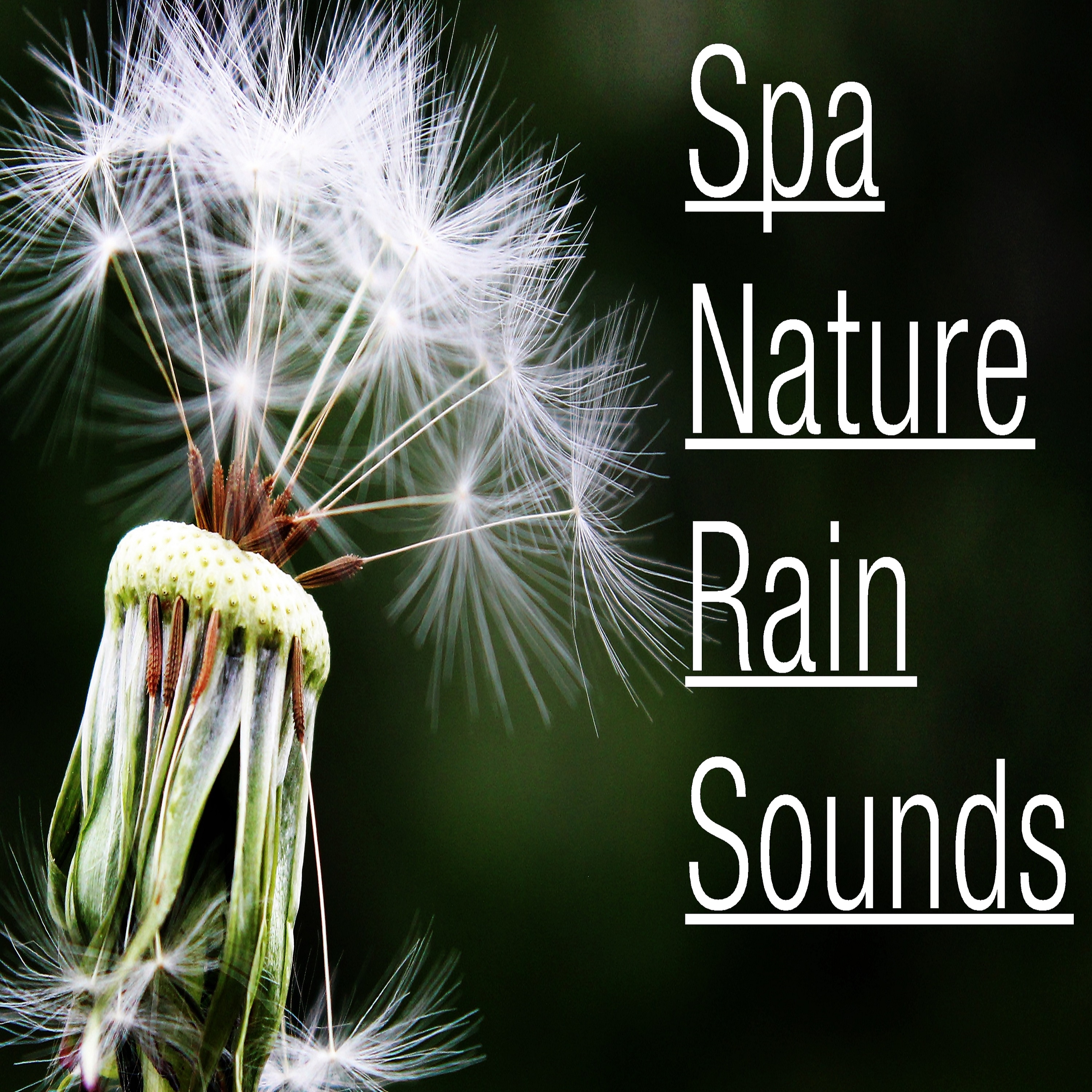 20 Spa Nature Rain Sounds - Relxation and Bliss