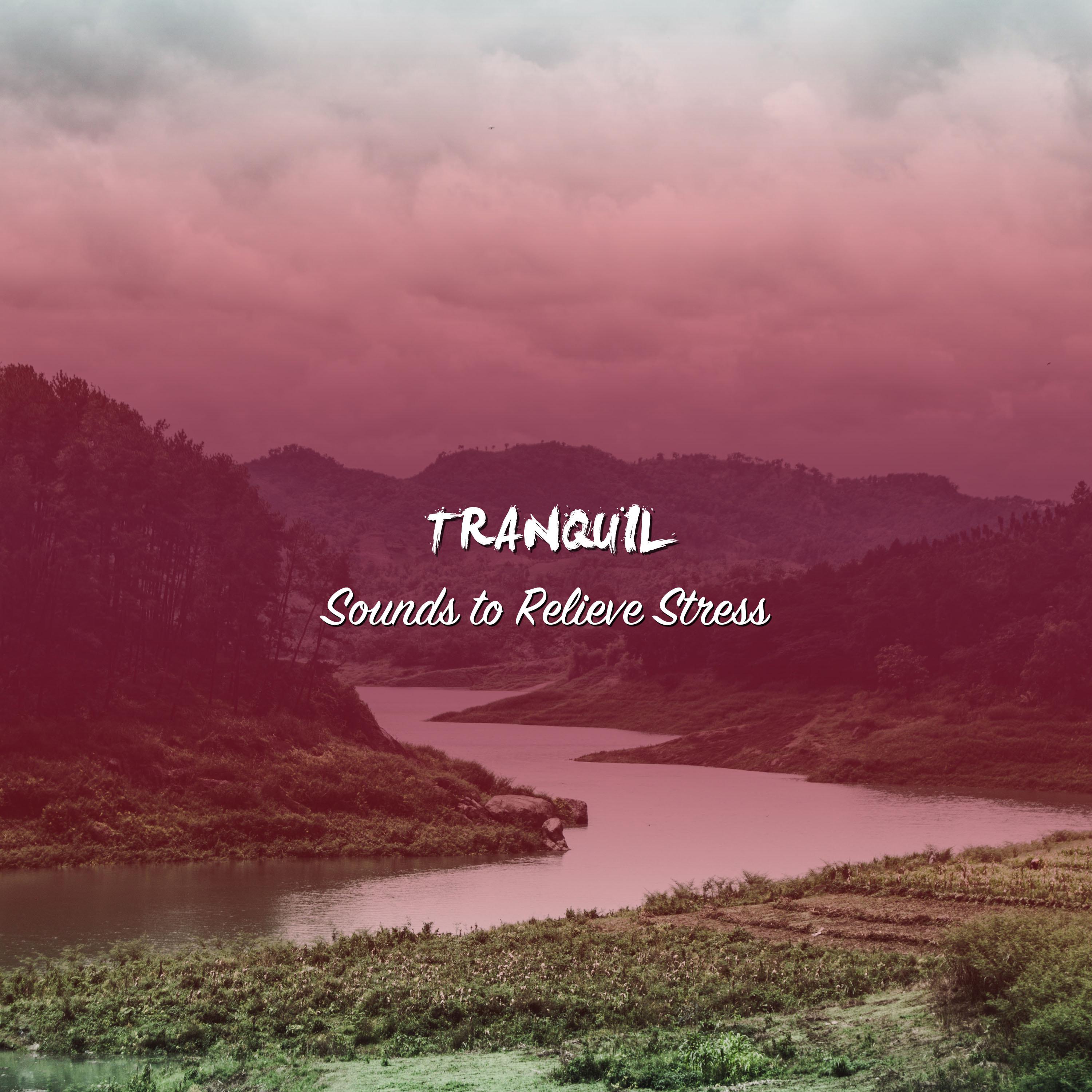 #19 Tranquil Sounds to Relieve Stress