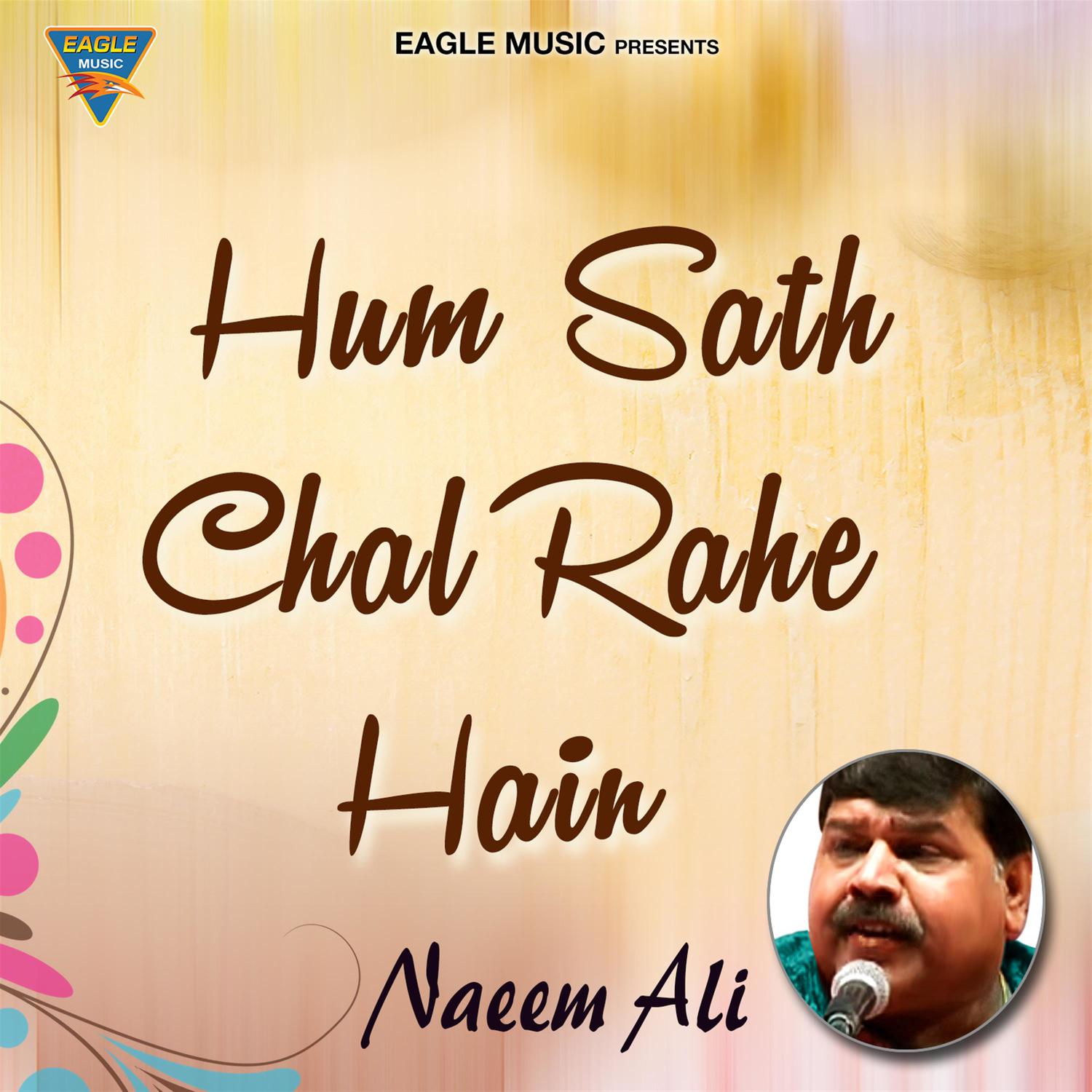Hum Saath Chal Rahein Hain - Single