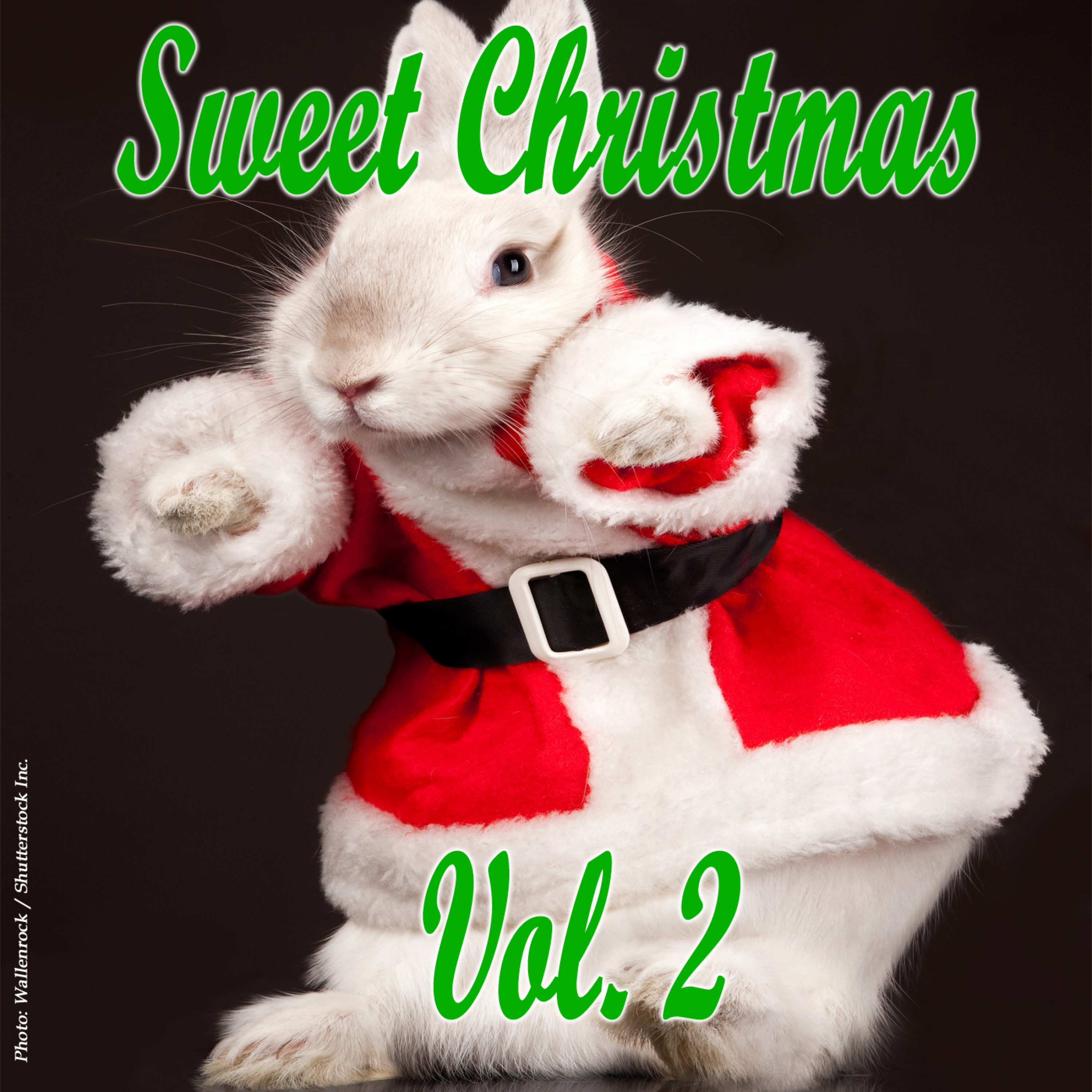 Sweet Christmas Vol. 2