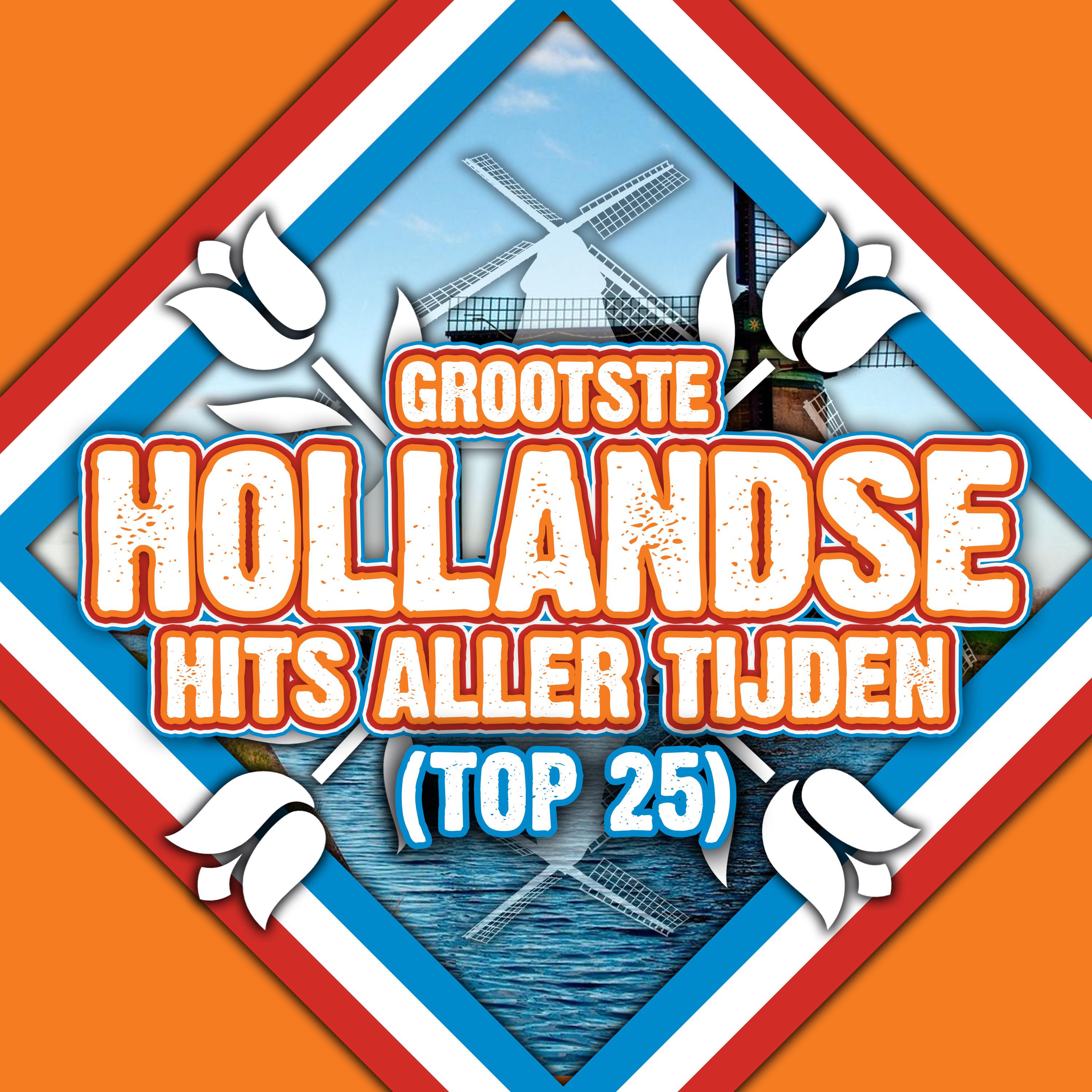 De Grootste Hollandse Hits Allertijden (Top 25)