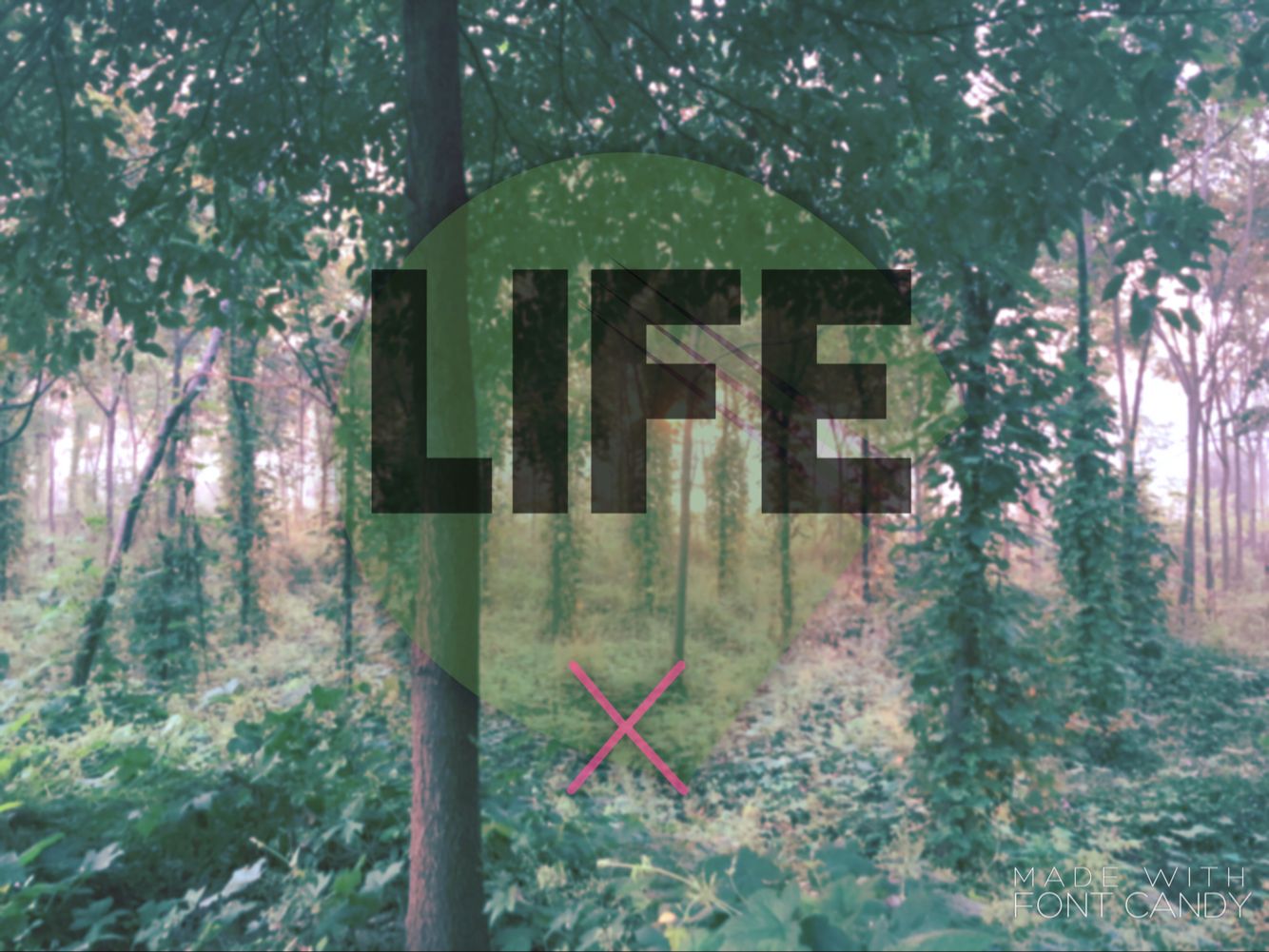 Life Vip Remix