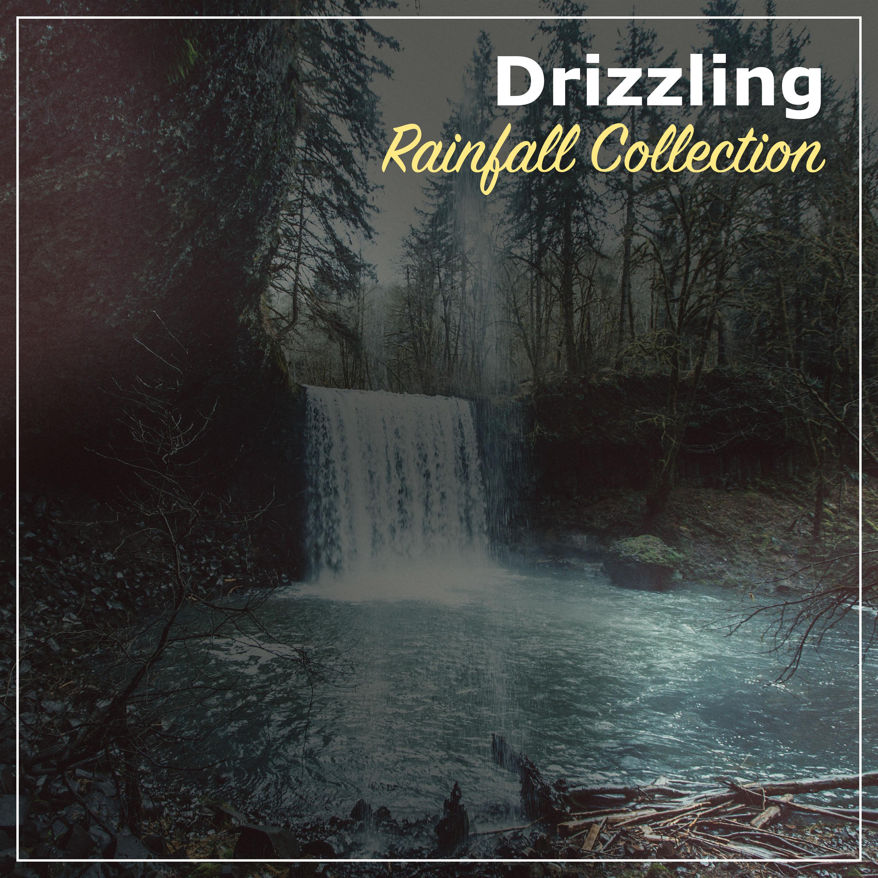 #15 Drizzling Rainfall Collection from Nature