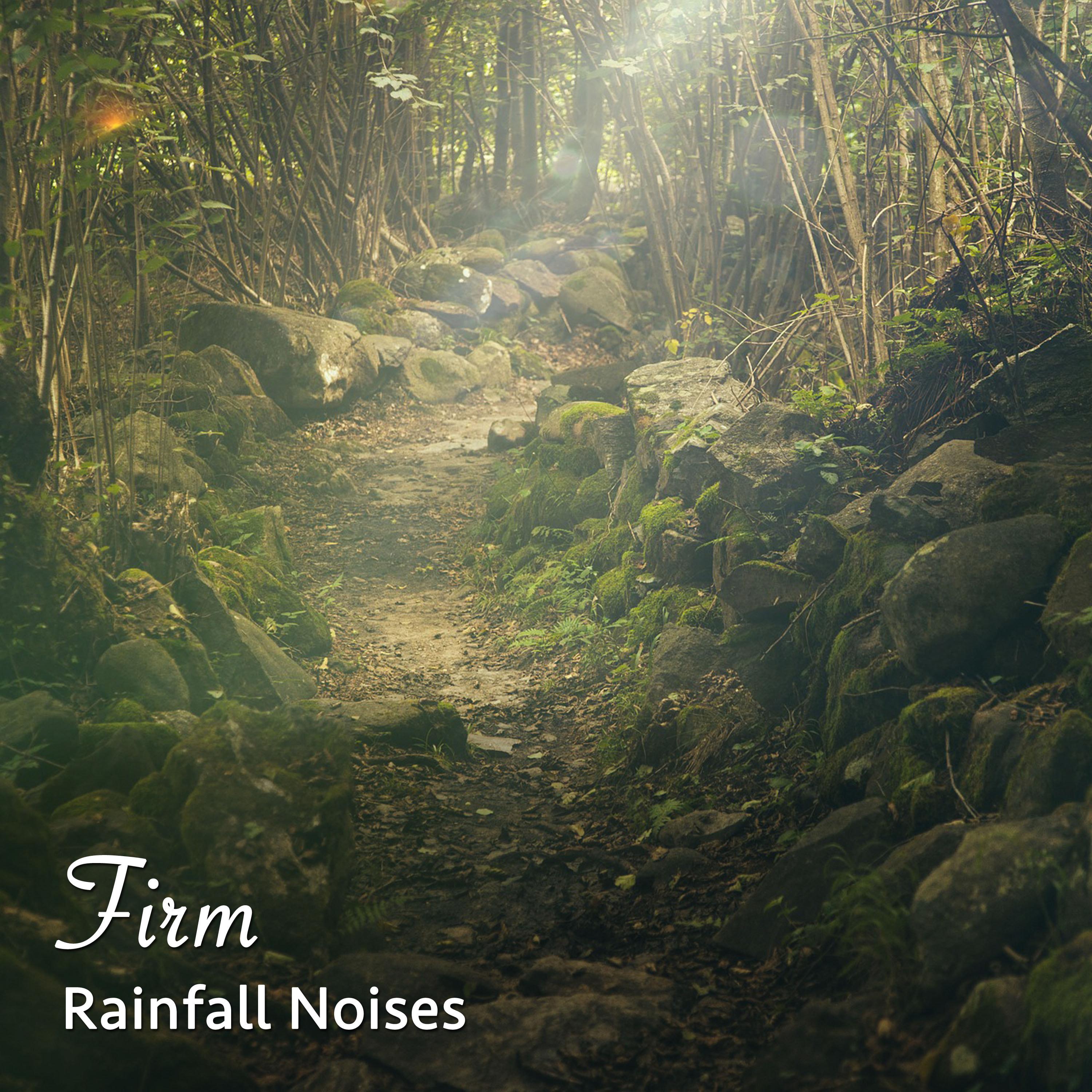 #15 Firm Rainfall Noises