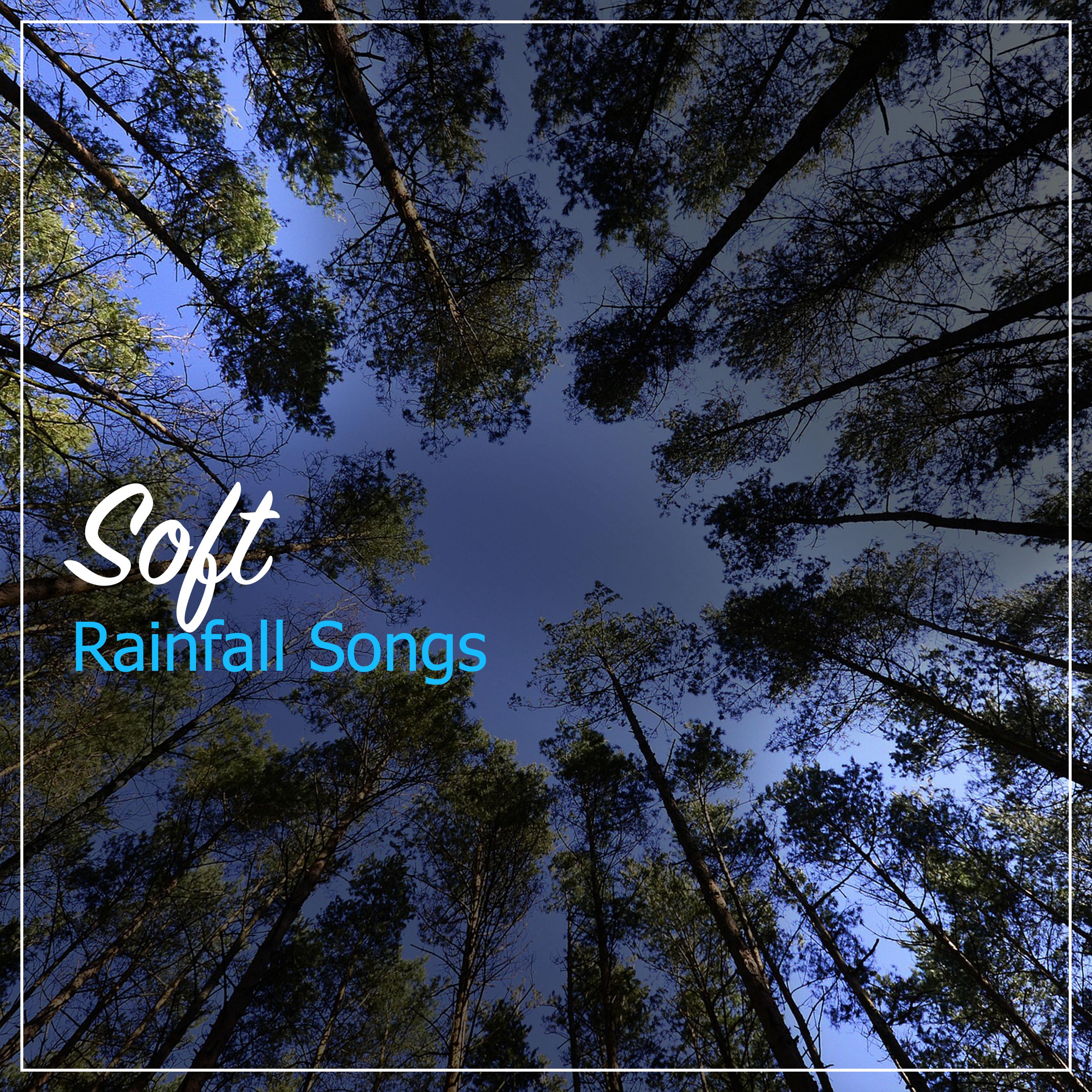 #15 Soft Rainfall Songs