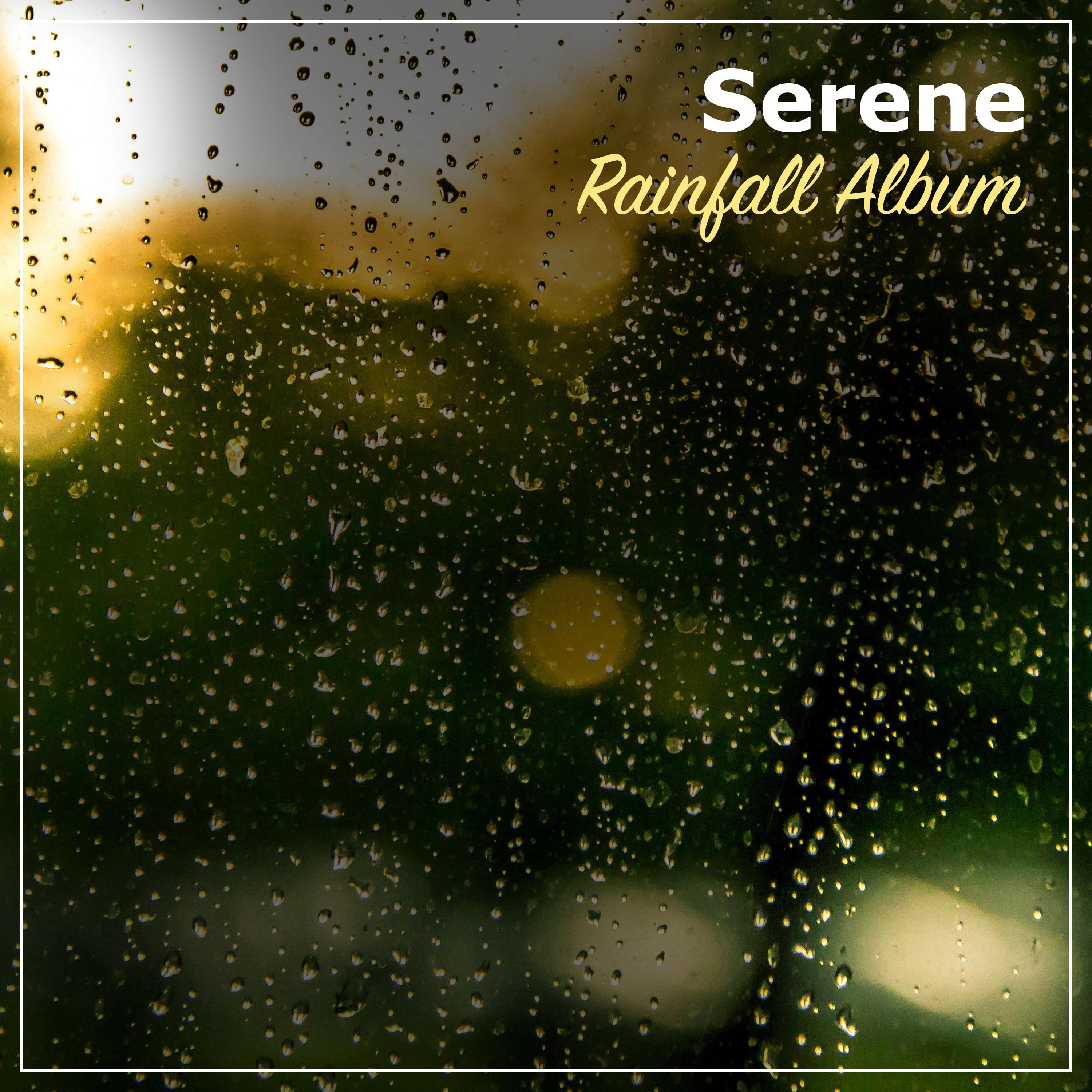 #20 Serene Rainfall Album