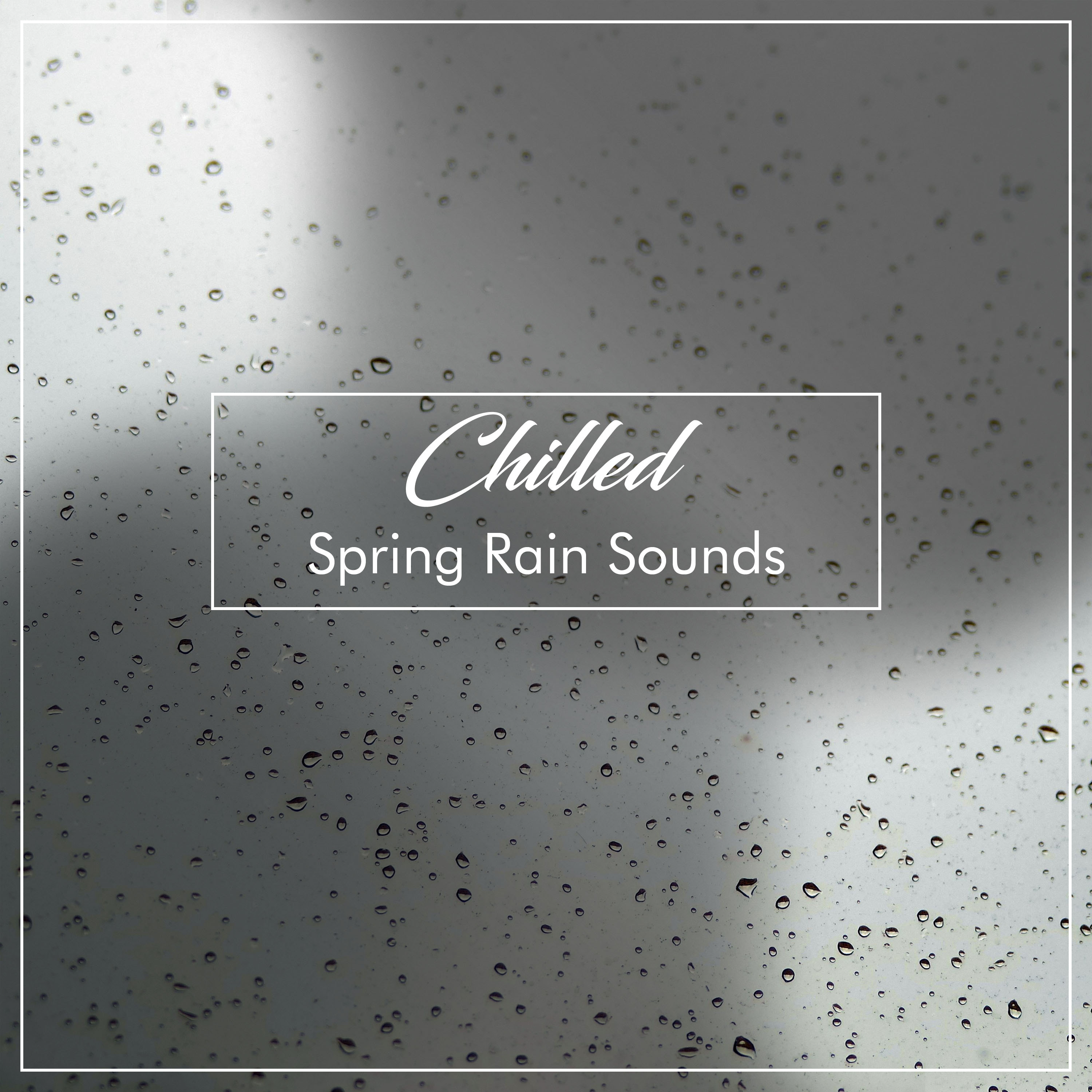 #12 Chilled Spring Rain Sounds