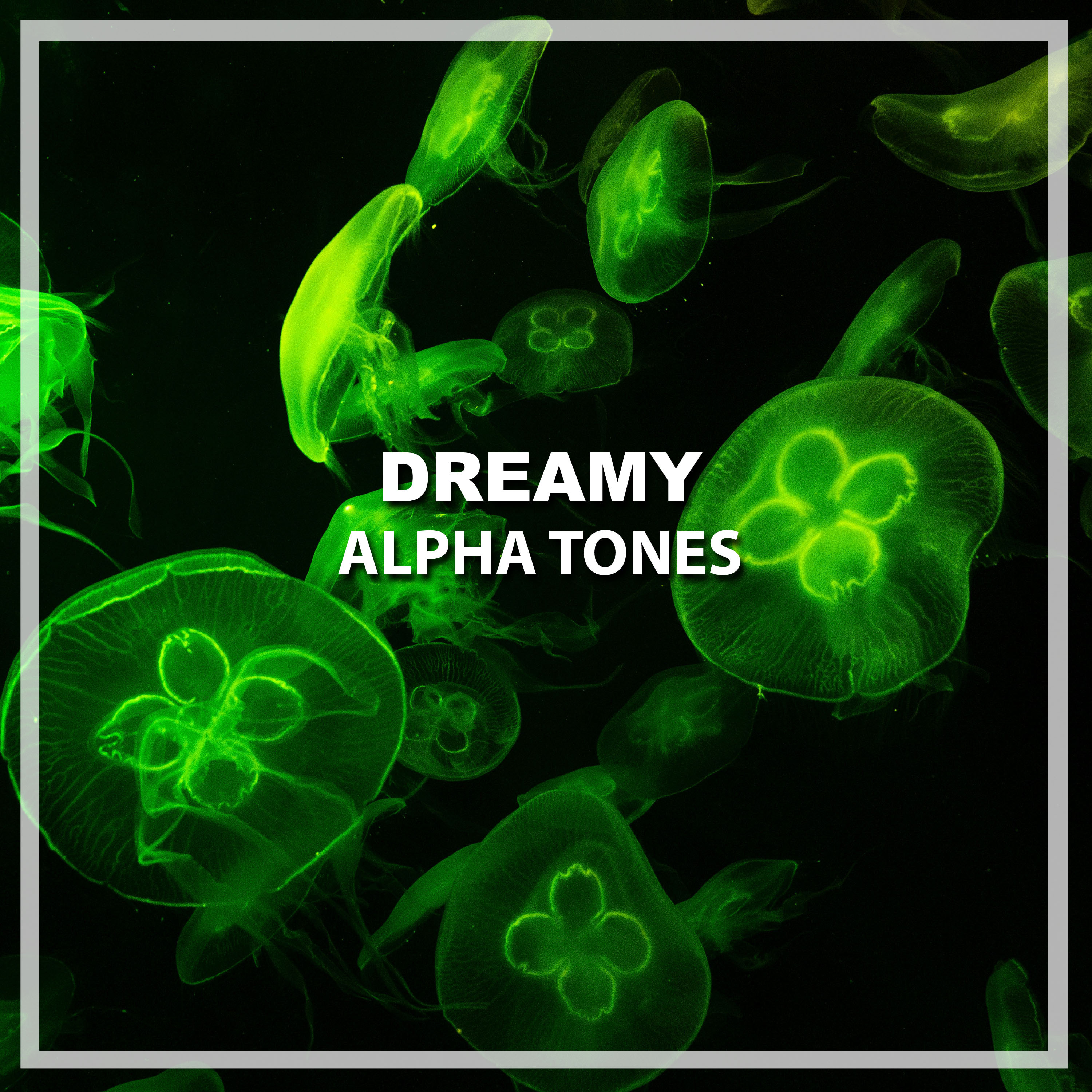#13 Dreamy Alpha Tones