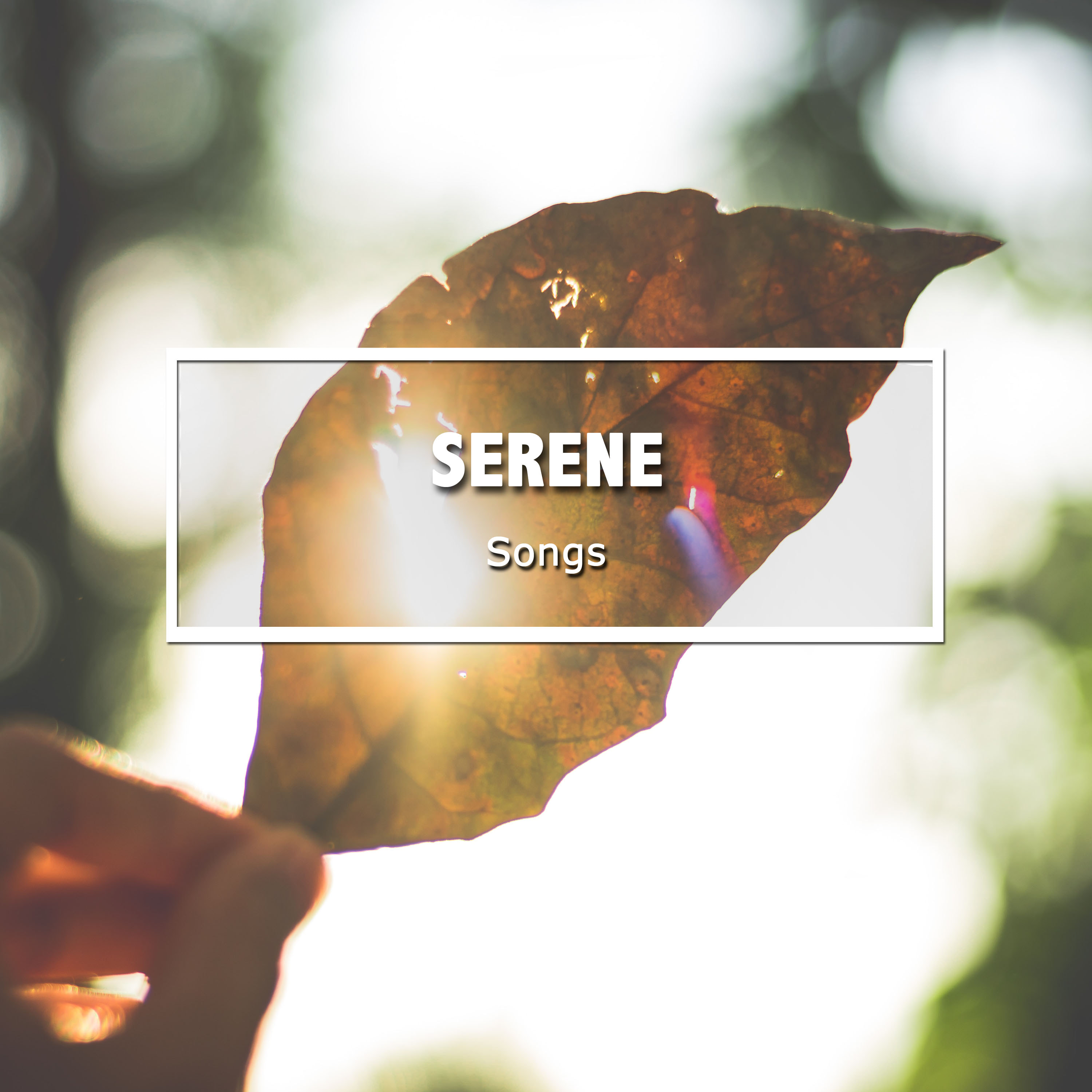 #18 Serene Songs for Deep Meditation