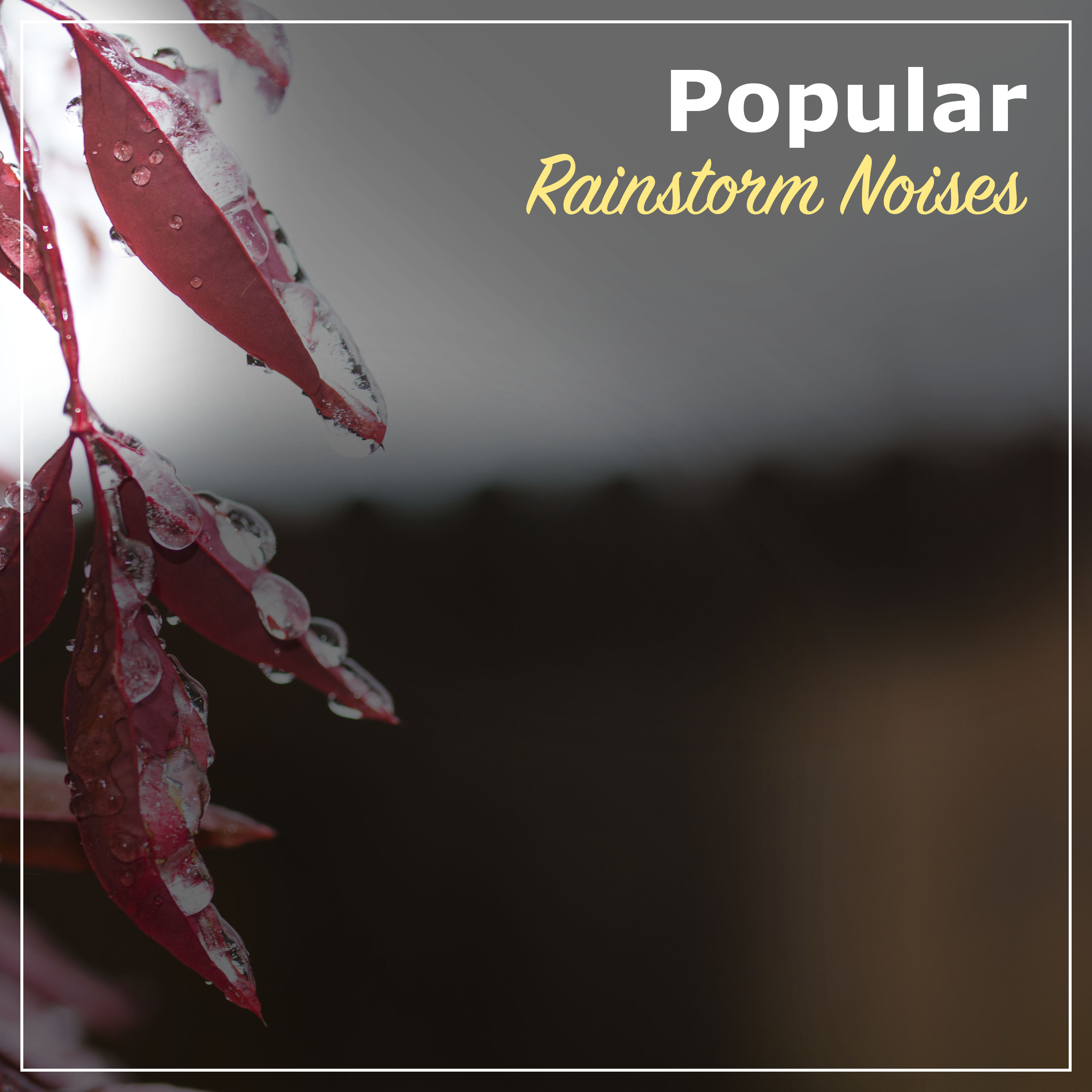 #10 Popular Rainstorm Noises