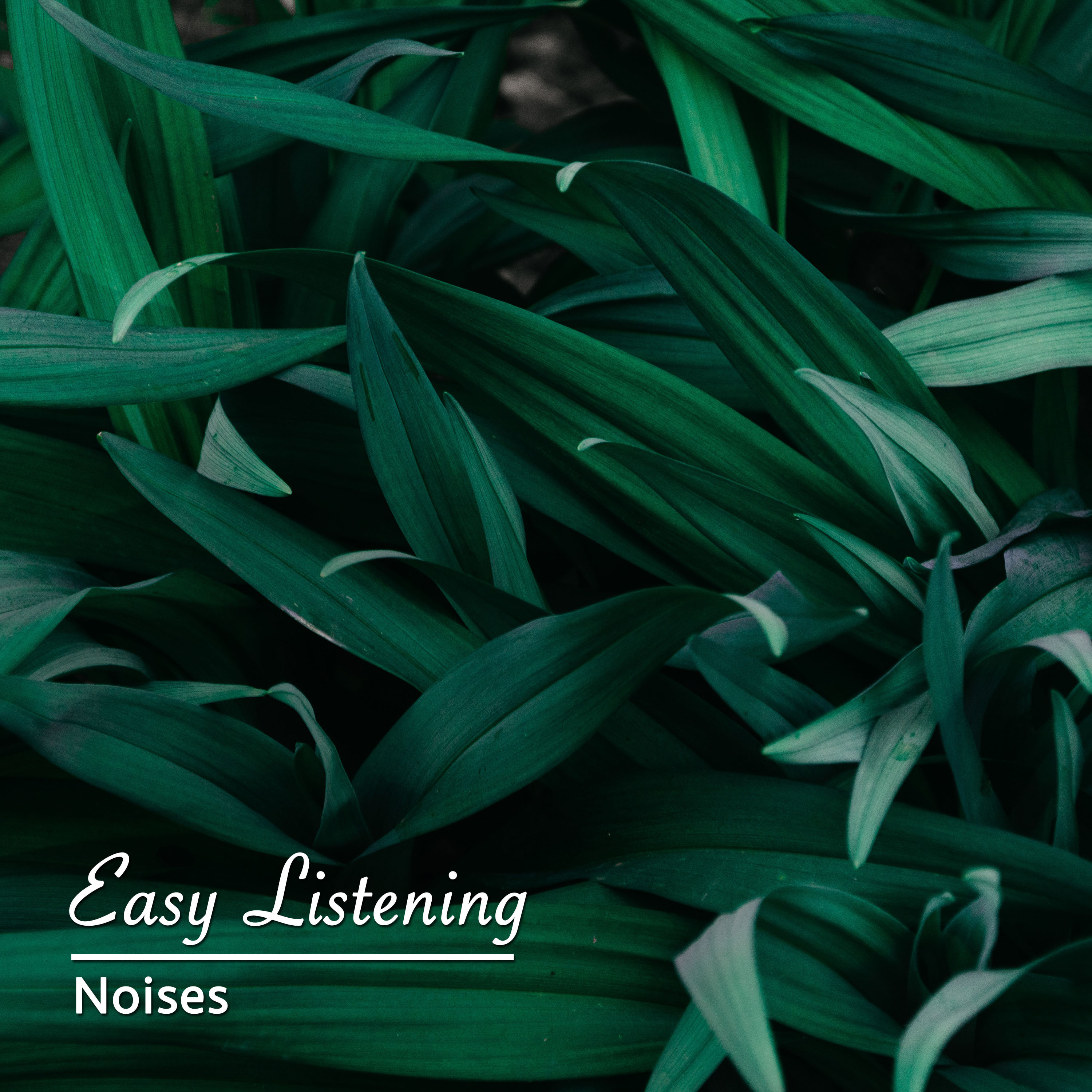 #15 Blissful Noises for a Great Nights Sleep