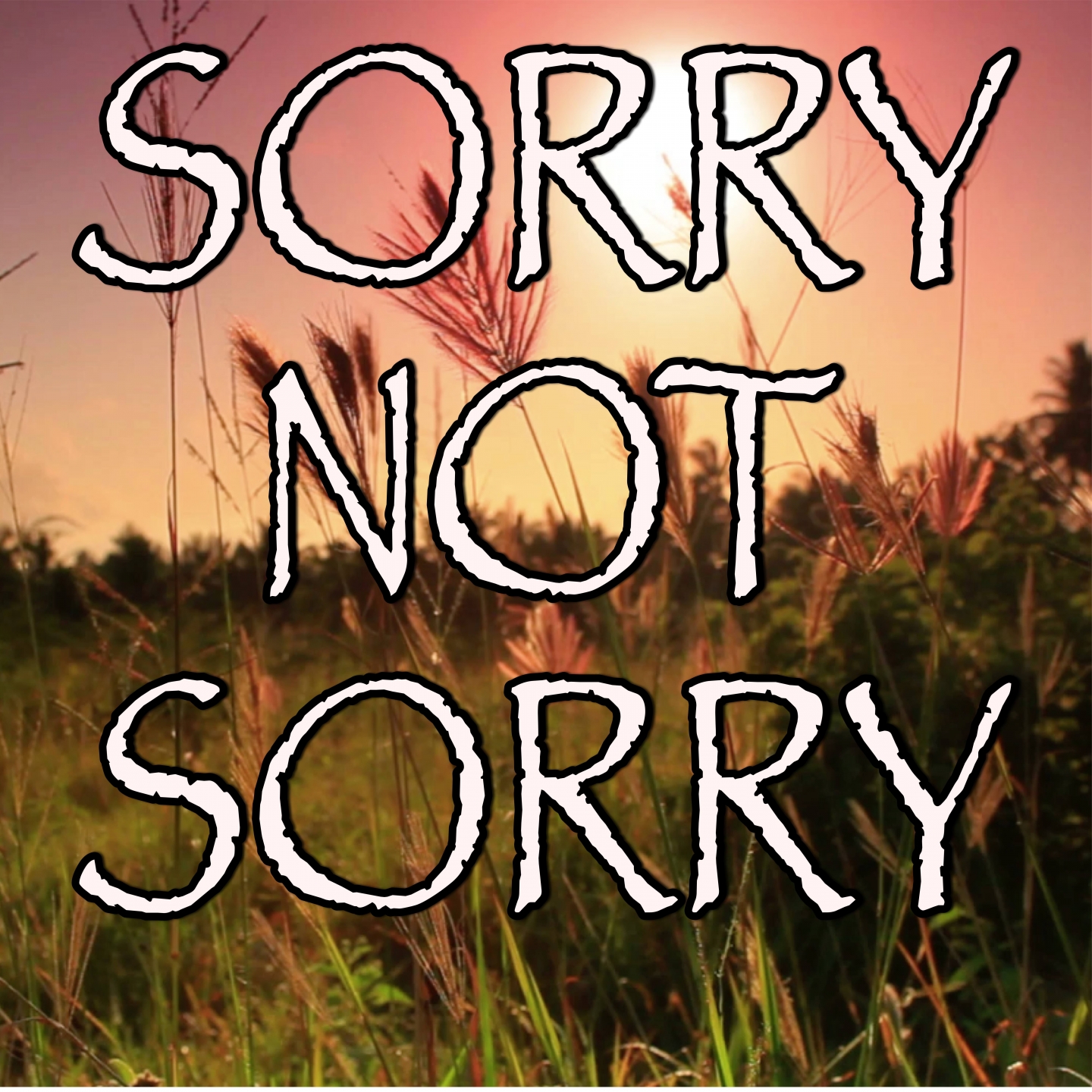 Sorry Not Sorry - Tribute to Demi Lovato
