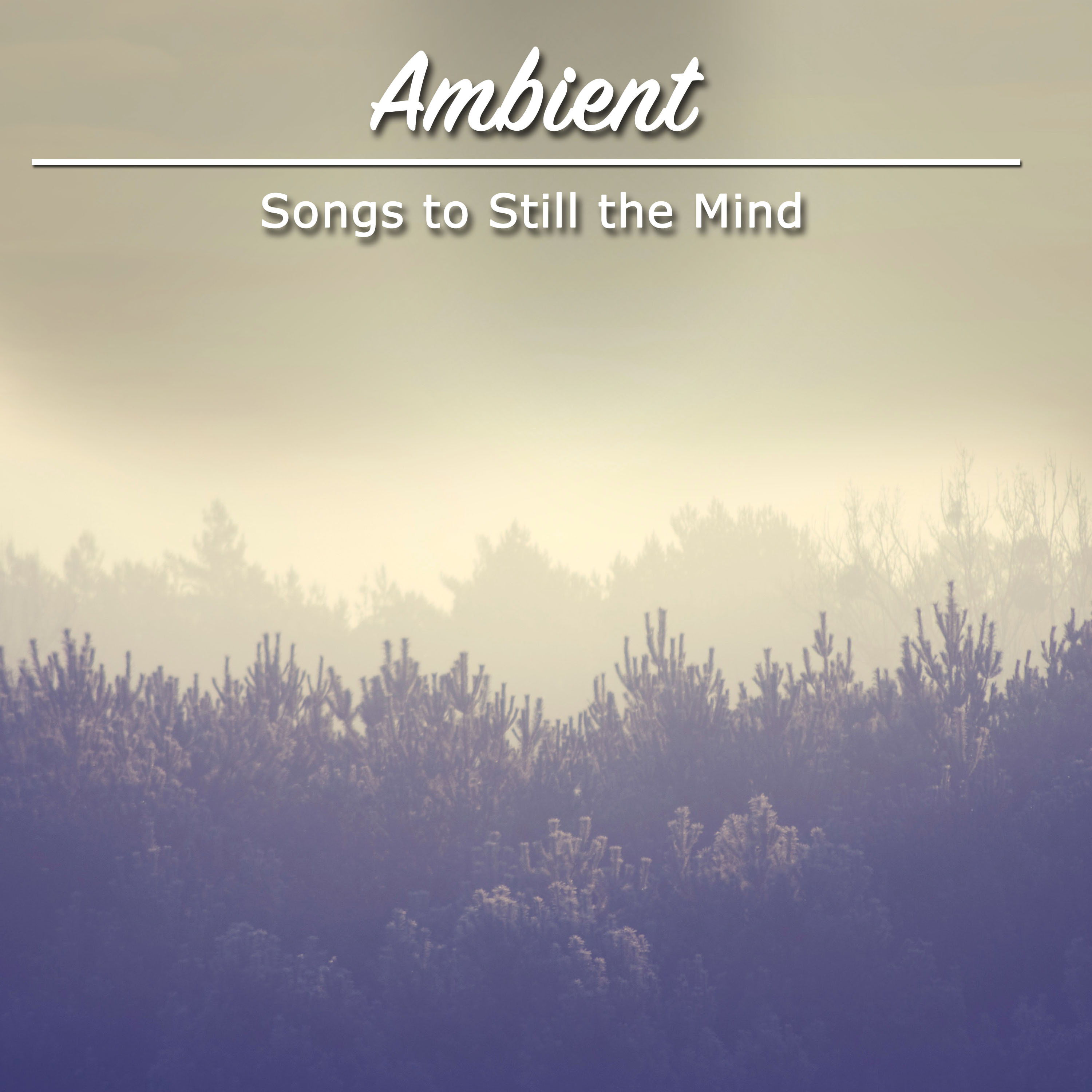 #16 Relaxing, Ambient Songs to Still the Mind