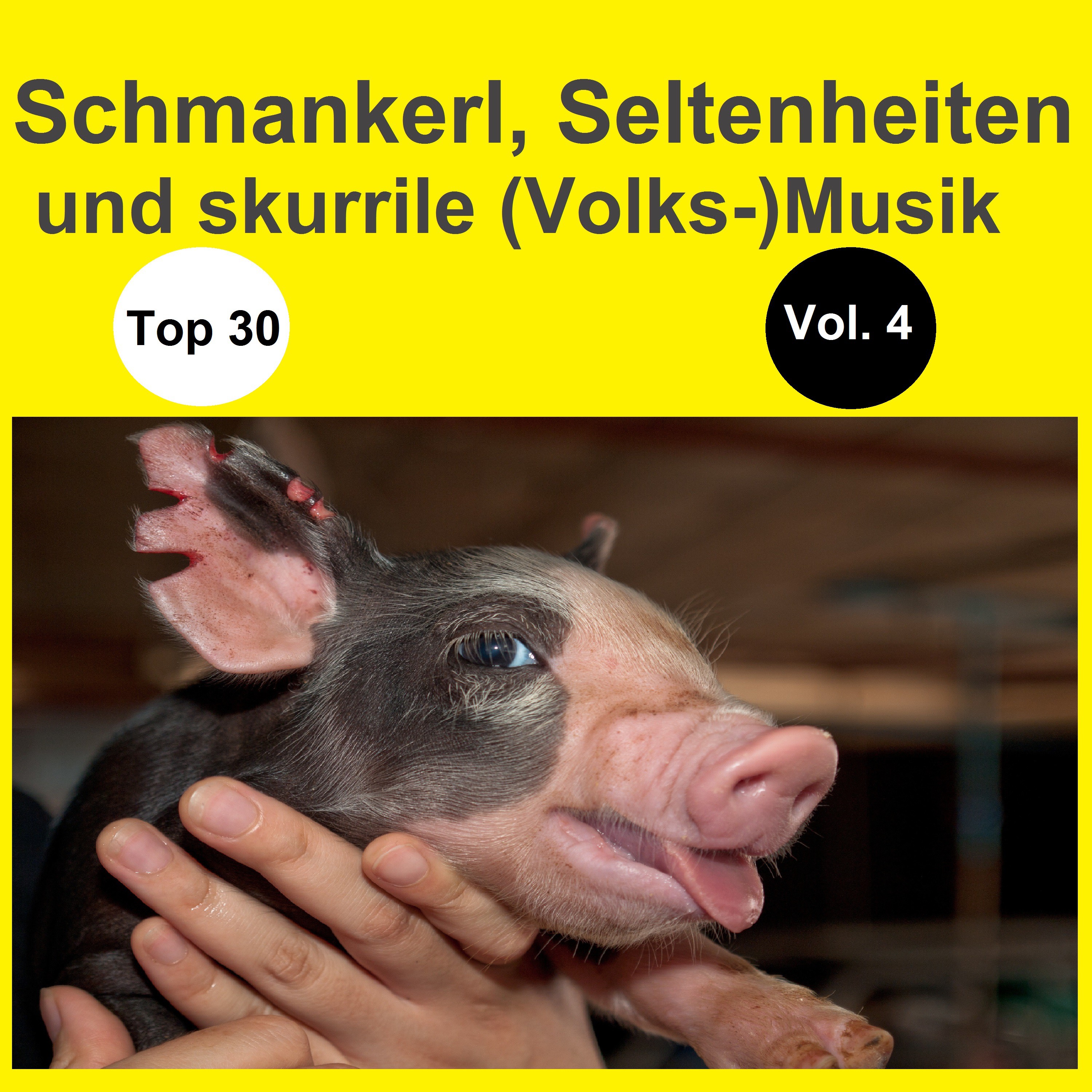 Top 30: Schmankerl, Seltenheiten und skurrile (Volks-)Musik, Vol. 4