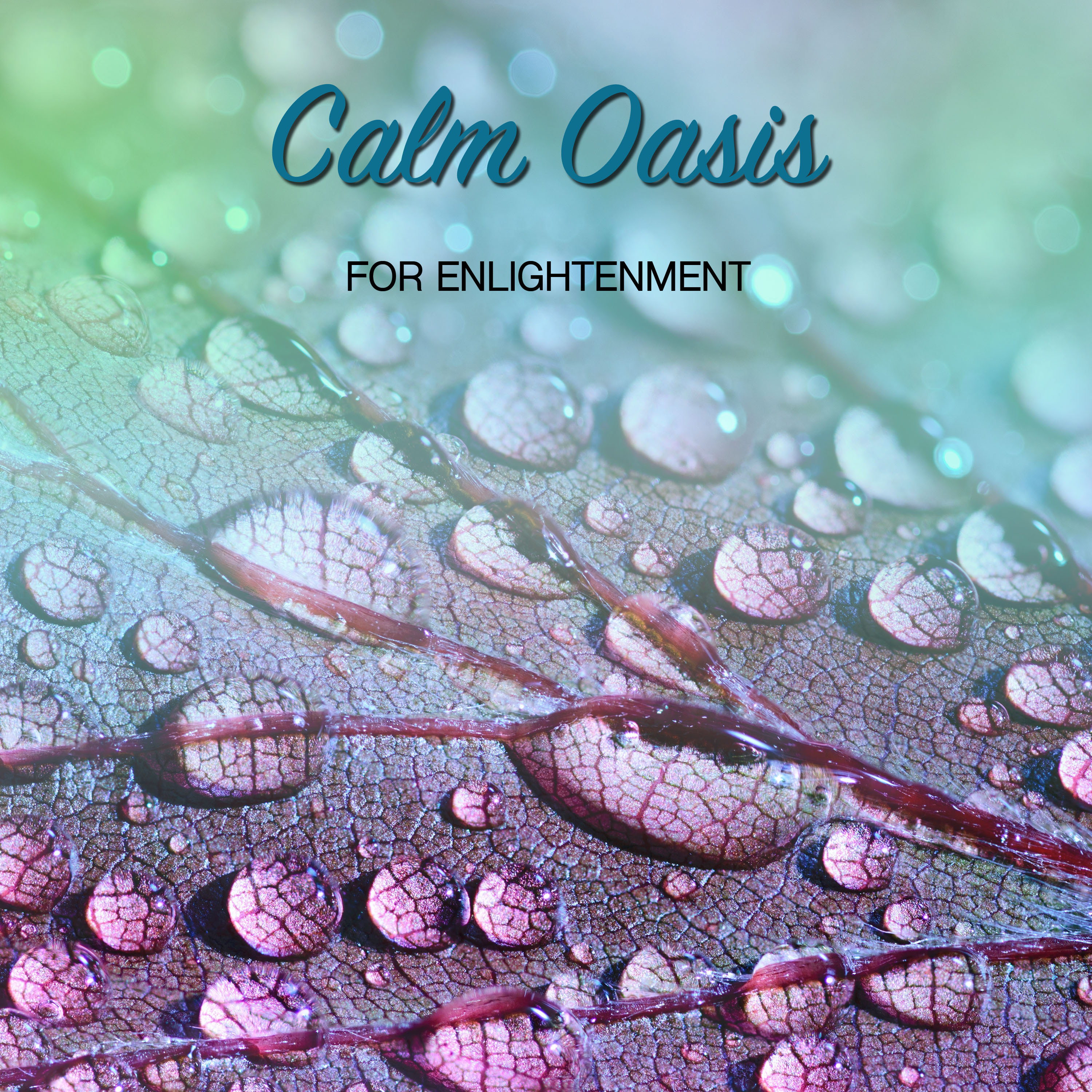 #15 Calm Oasis Sounds for Enlightenment