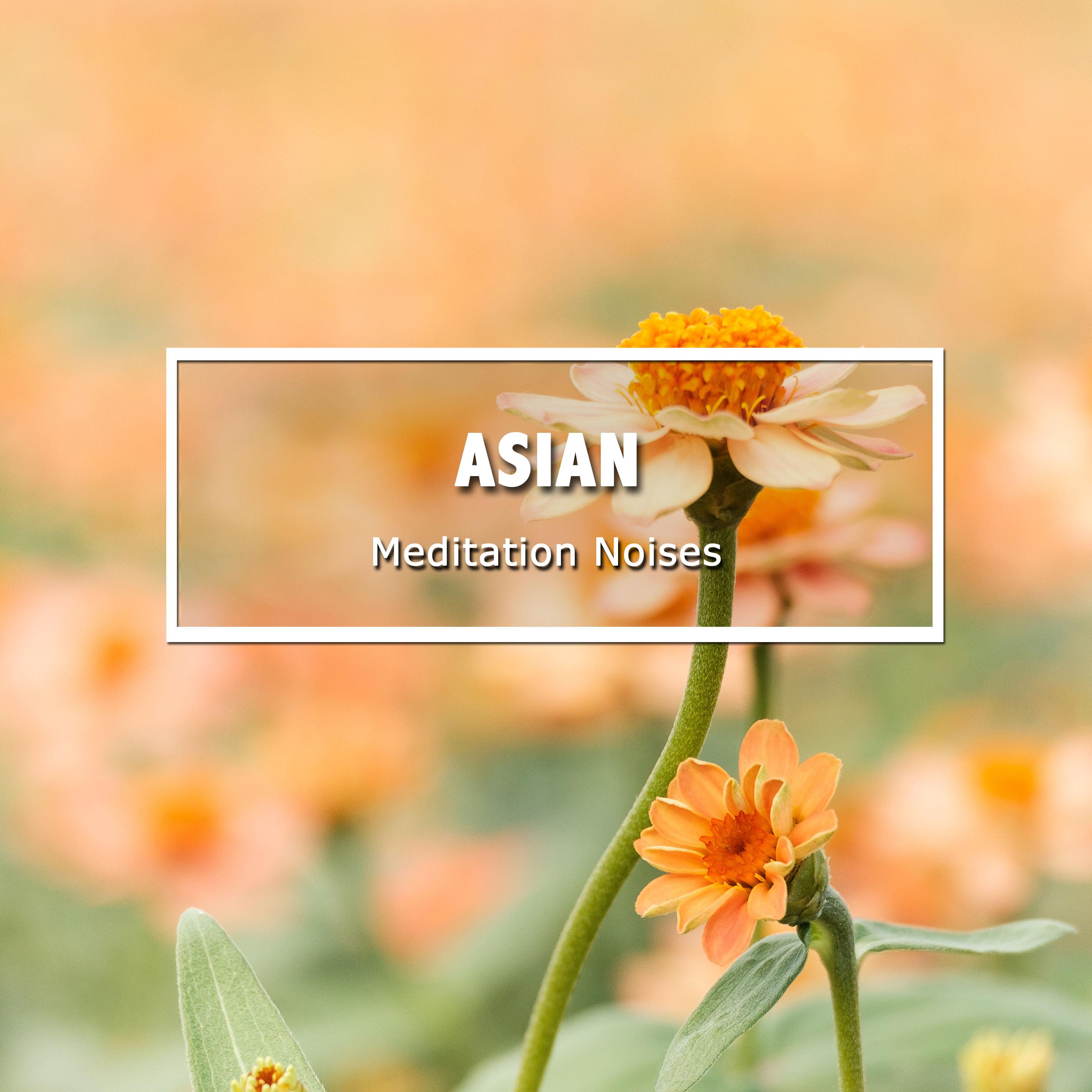 #20 Asian Meditation Noises to Still the Mind