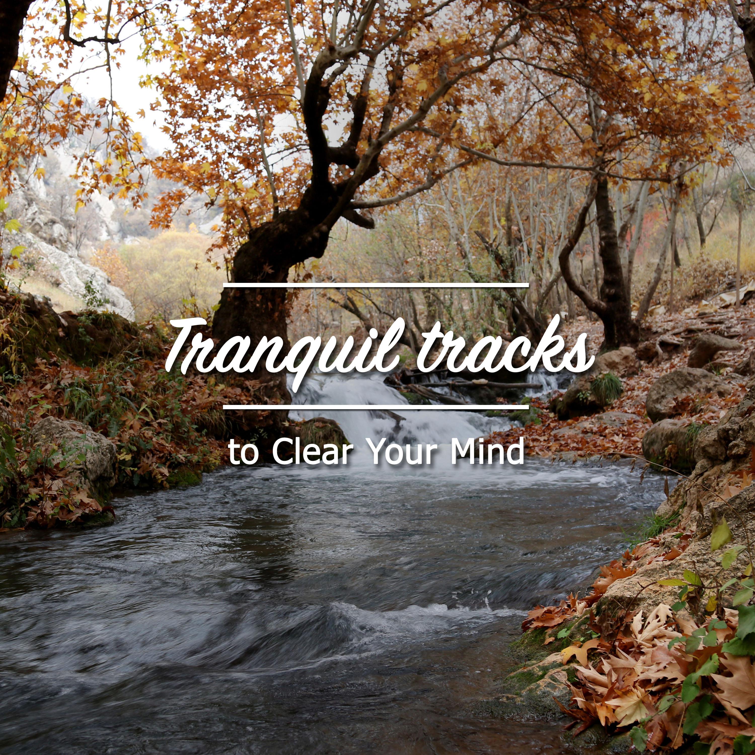#11 Tranquil Tracks to Clear your Mind