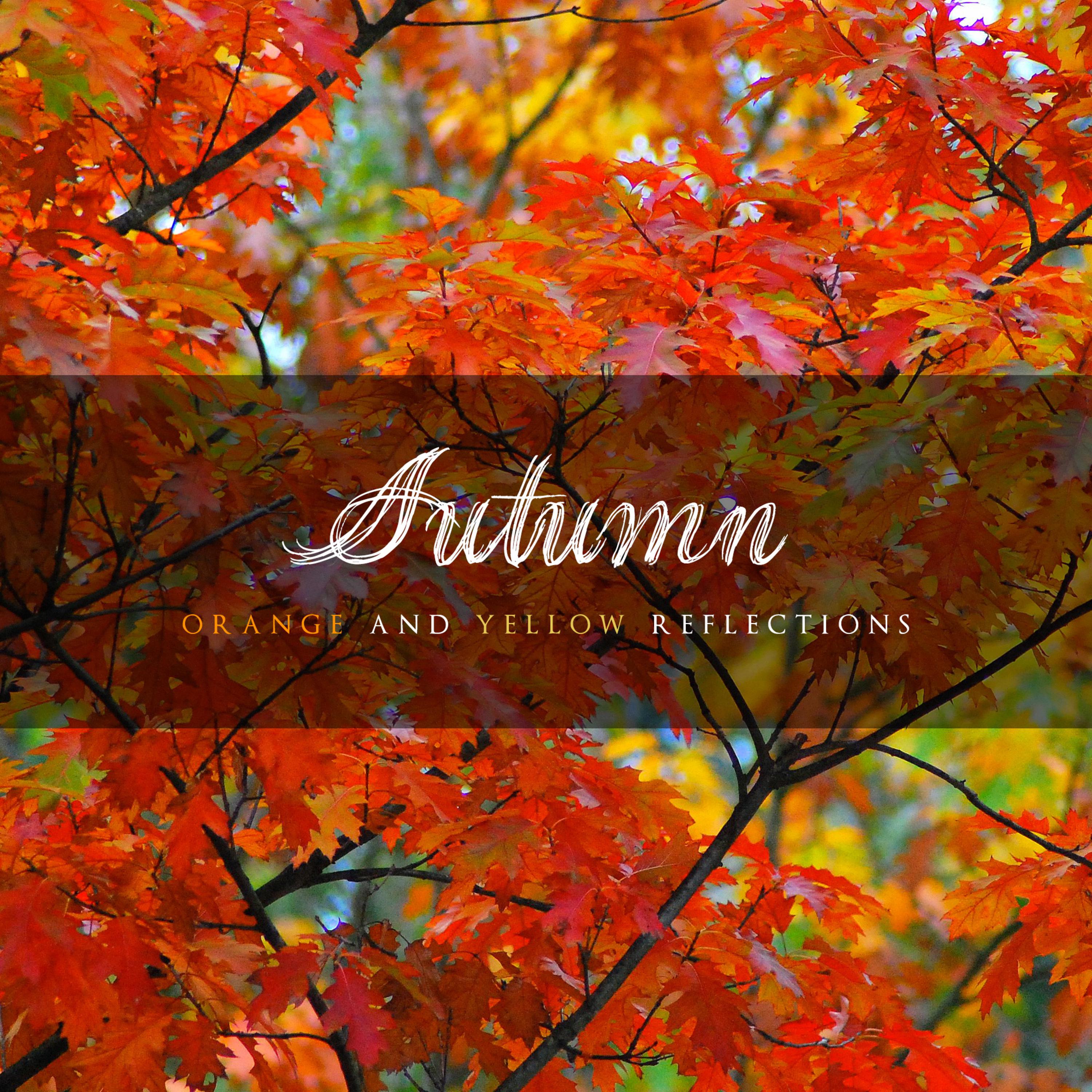 Autumn: Orange and Yellow Reflections