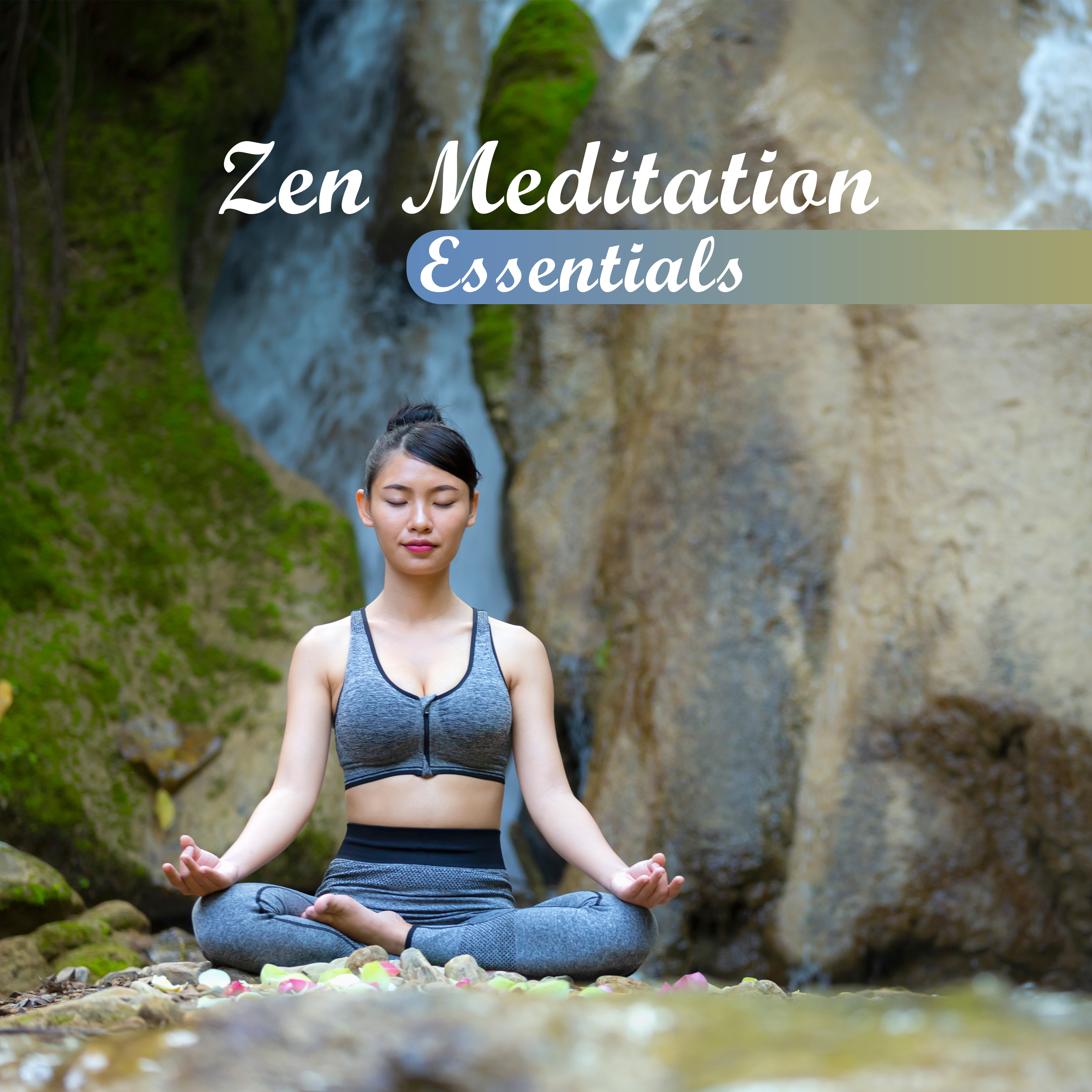 Zen Meditation Essentials