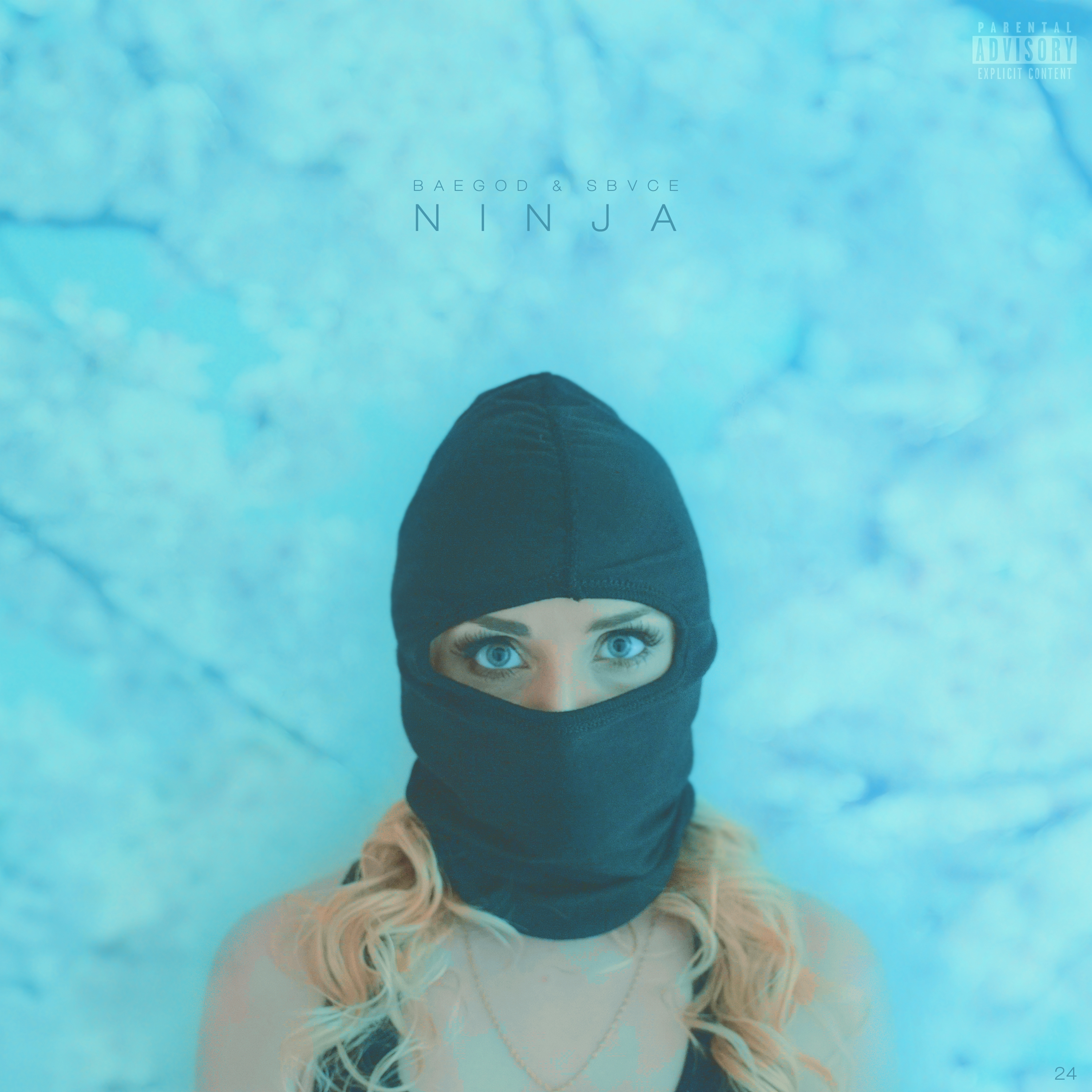 Ninja