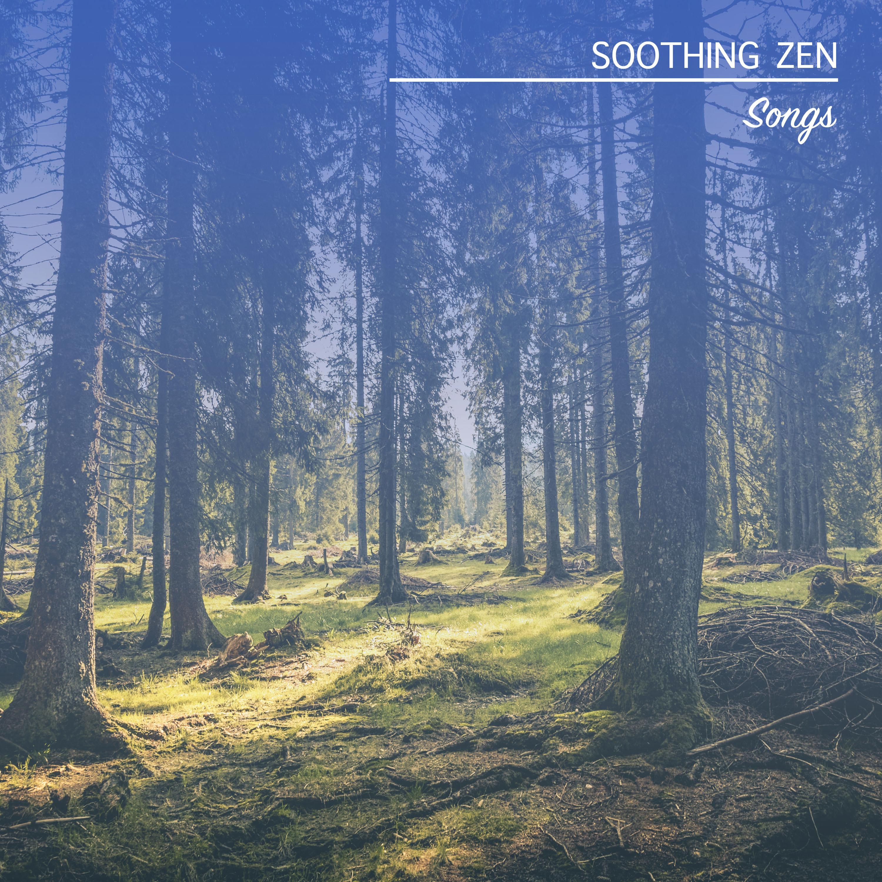 #13 Soothing Zen Songs to Clear your Mind