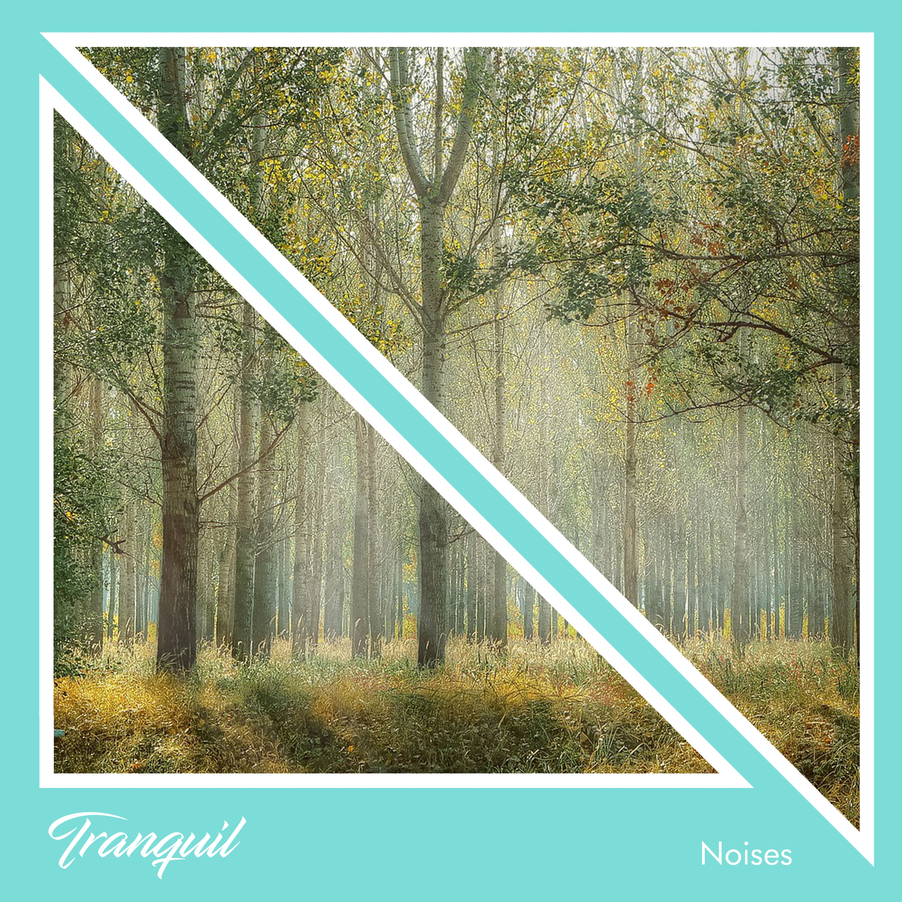 #1 Hour Tranquil Noises to Calm the Mind