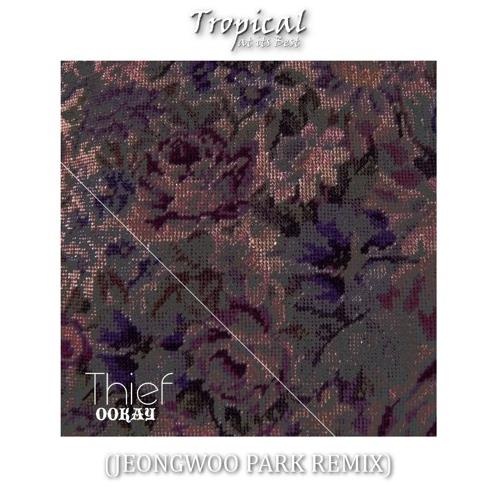 Thief (Jeongwoo Park Remix)